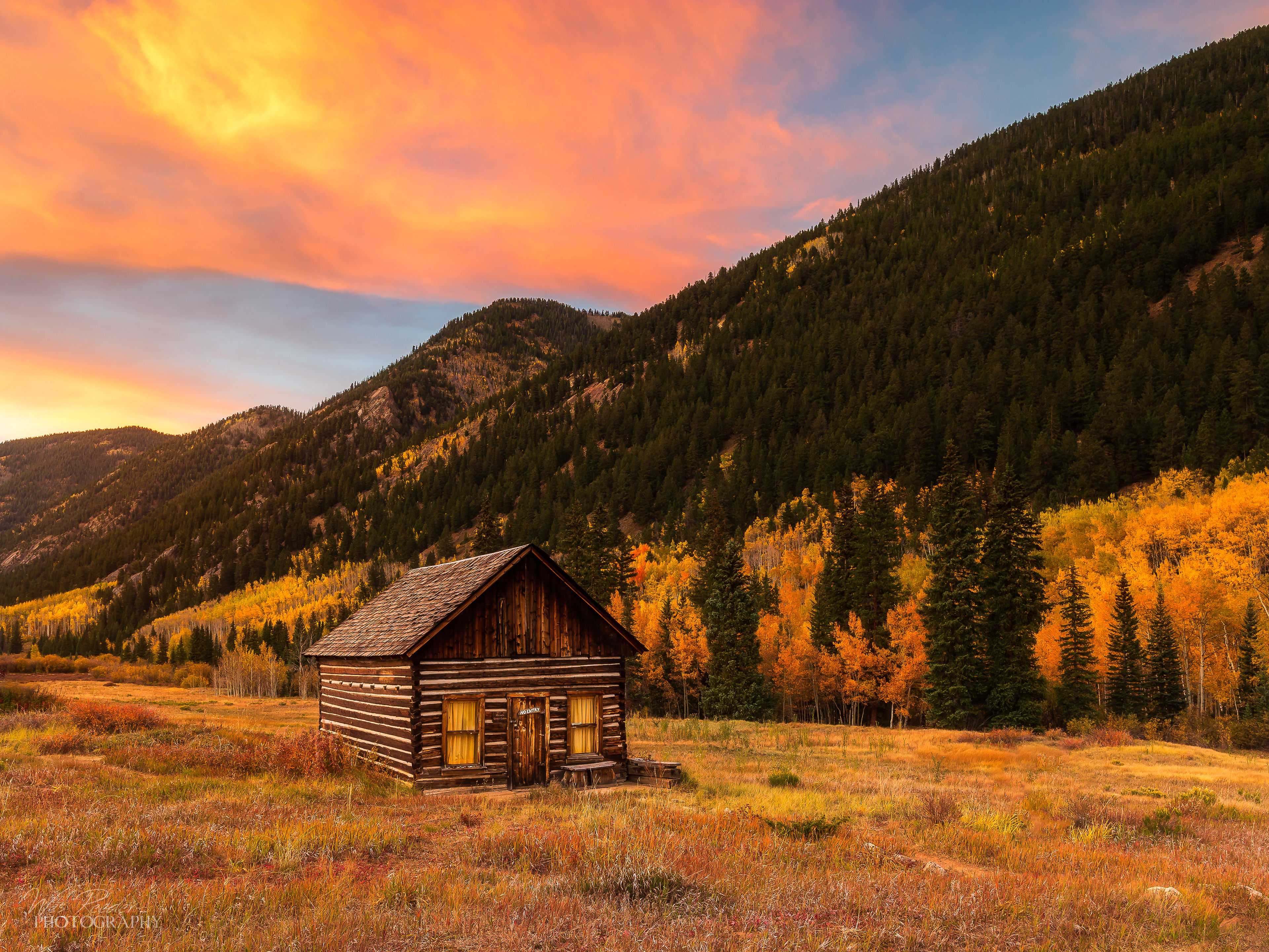 Homestead