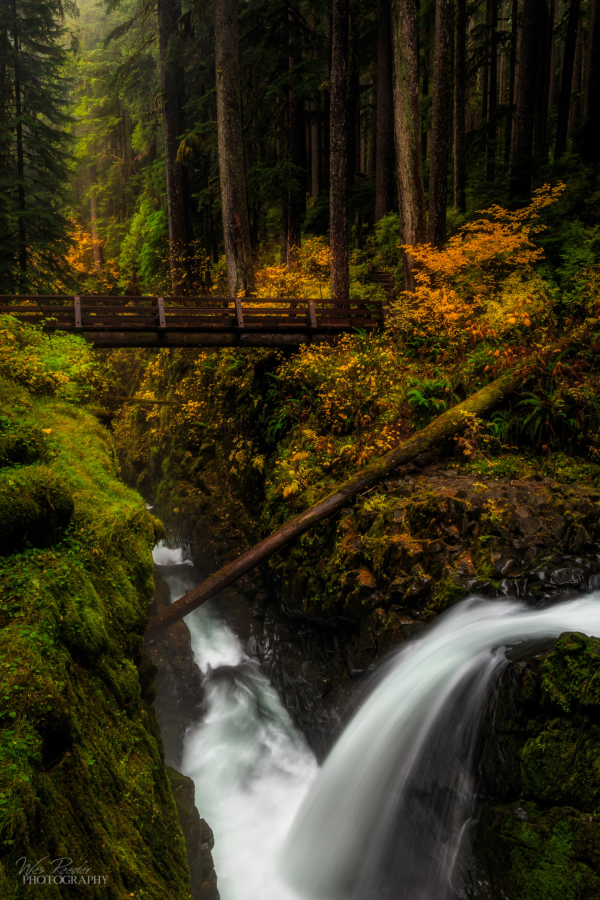 Water Under the Bridge