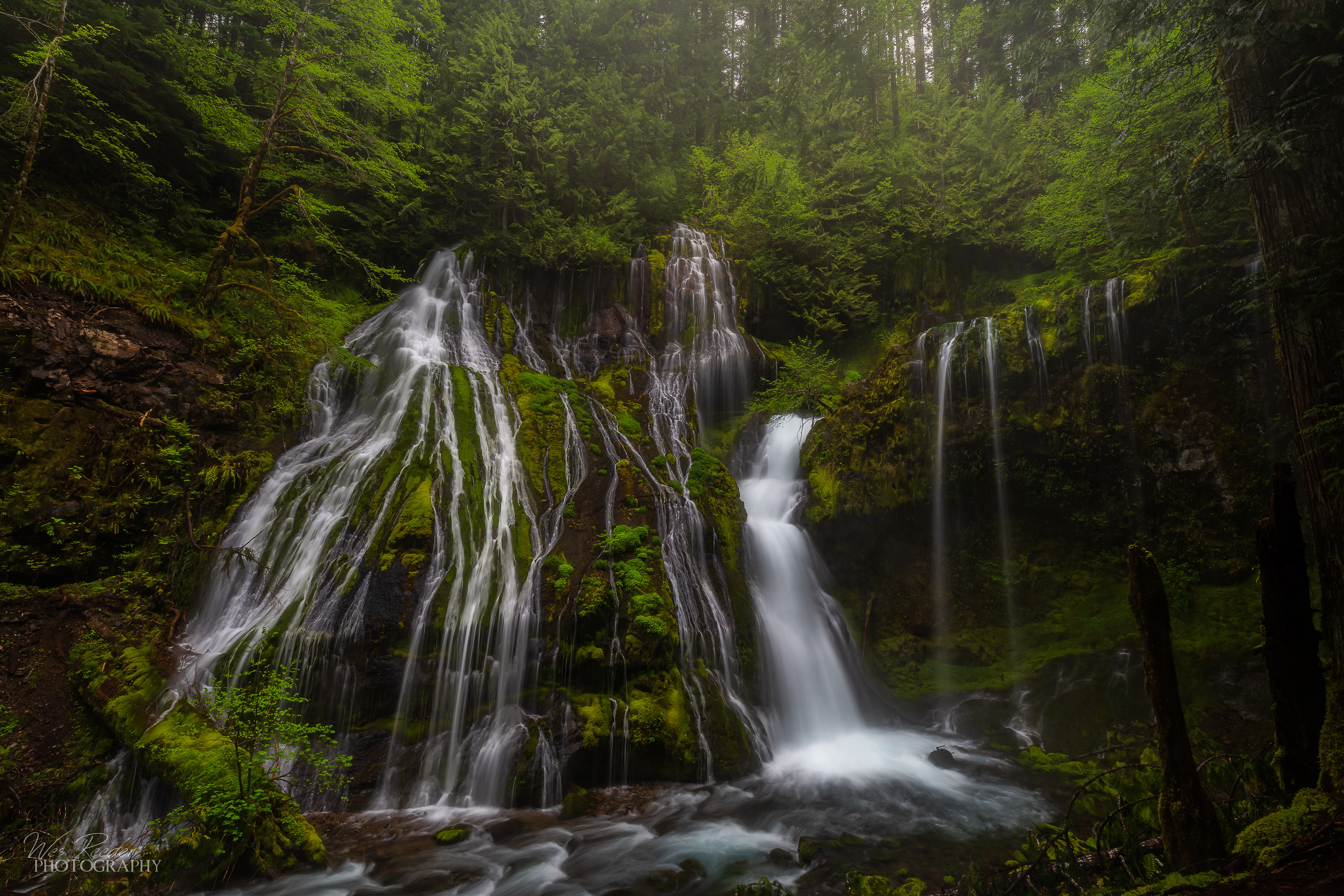 Evening at the Falls