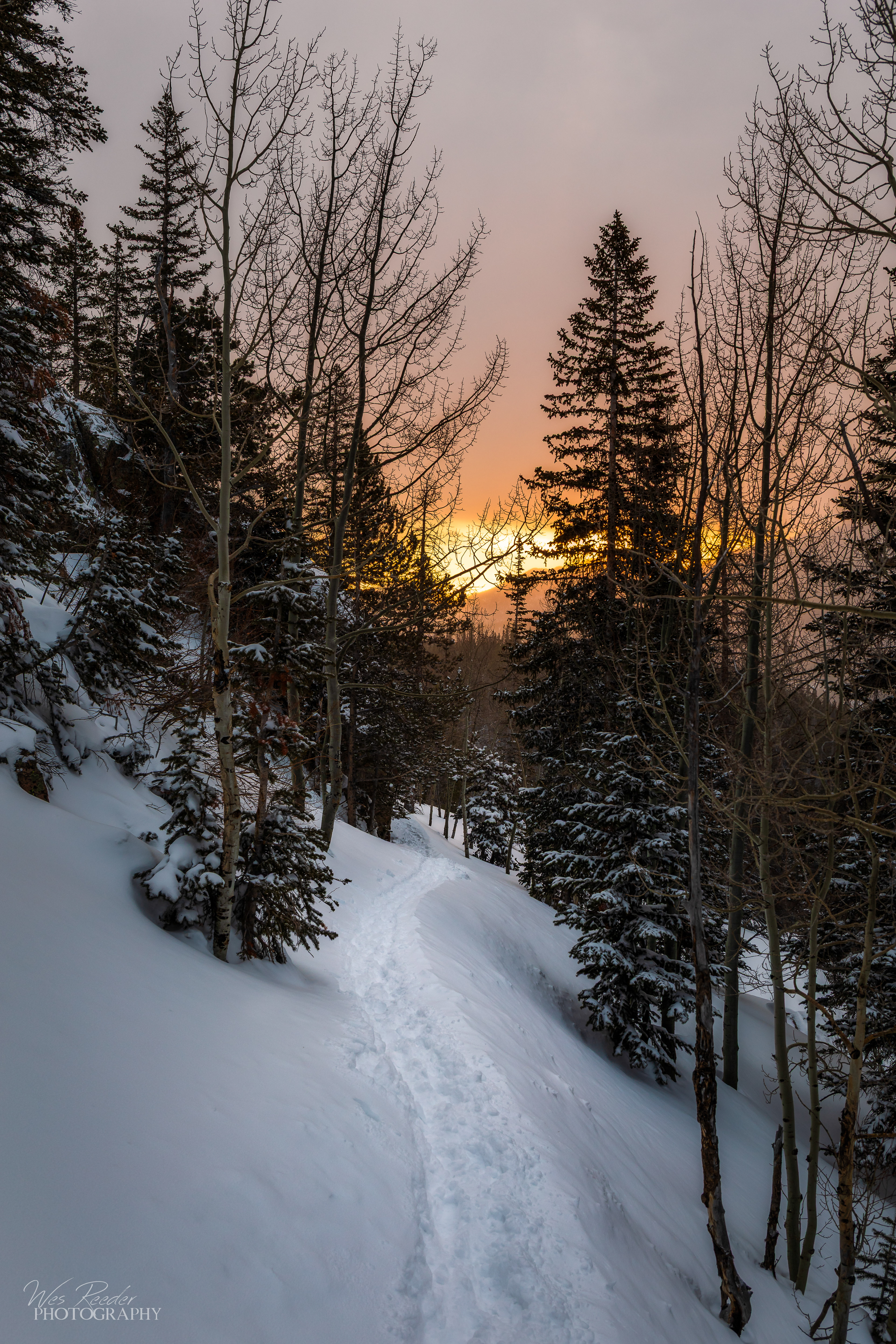 Walking to the Sun