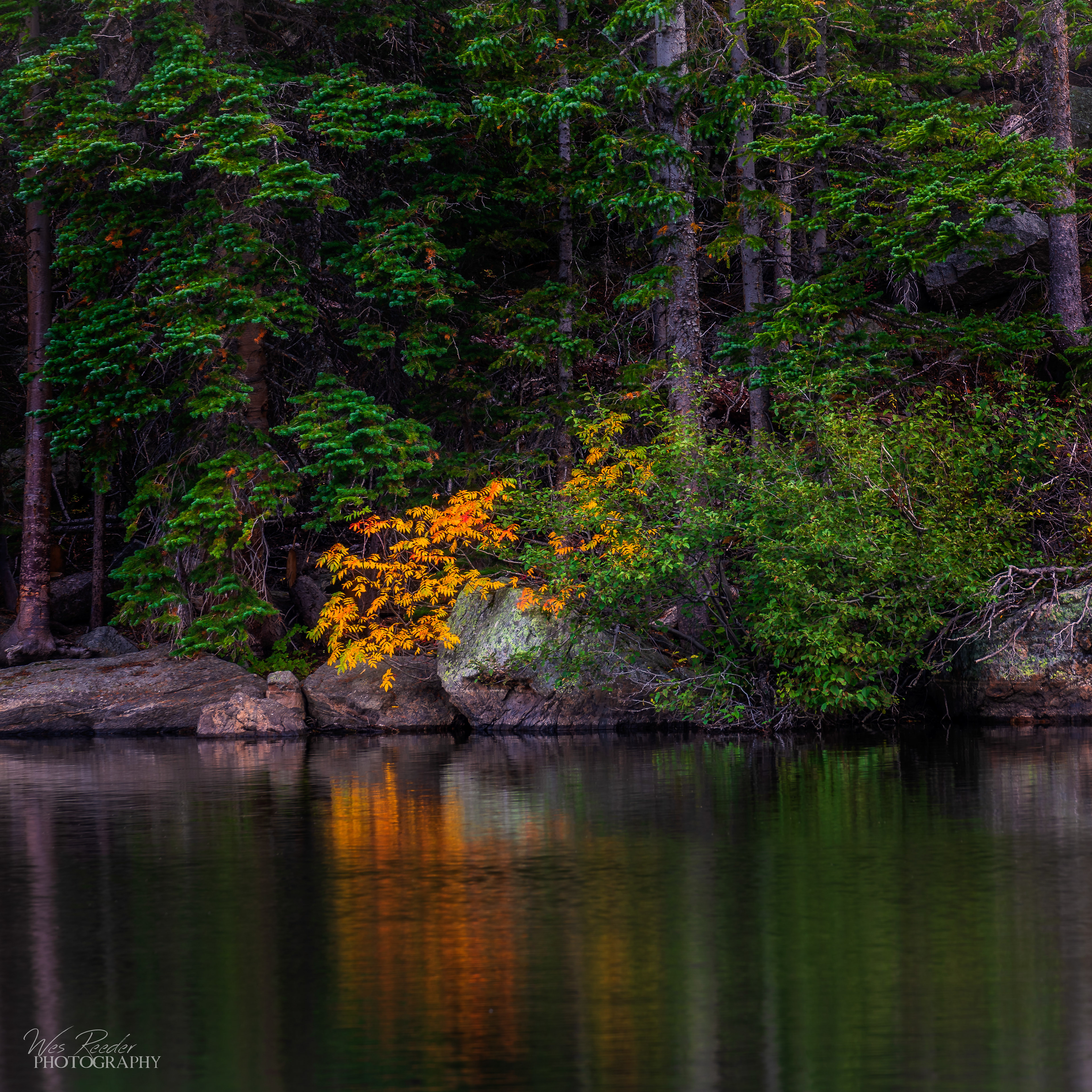 Peaceful Scene