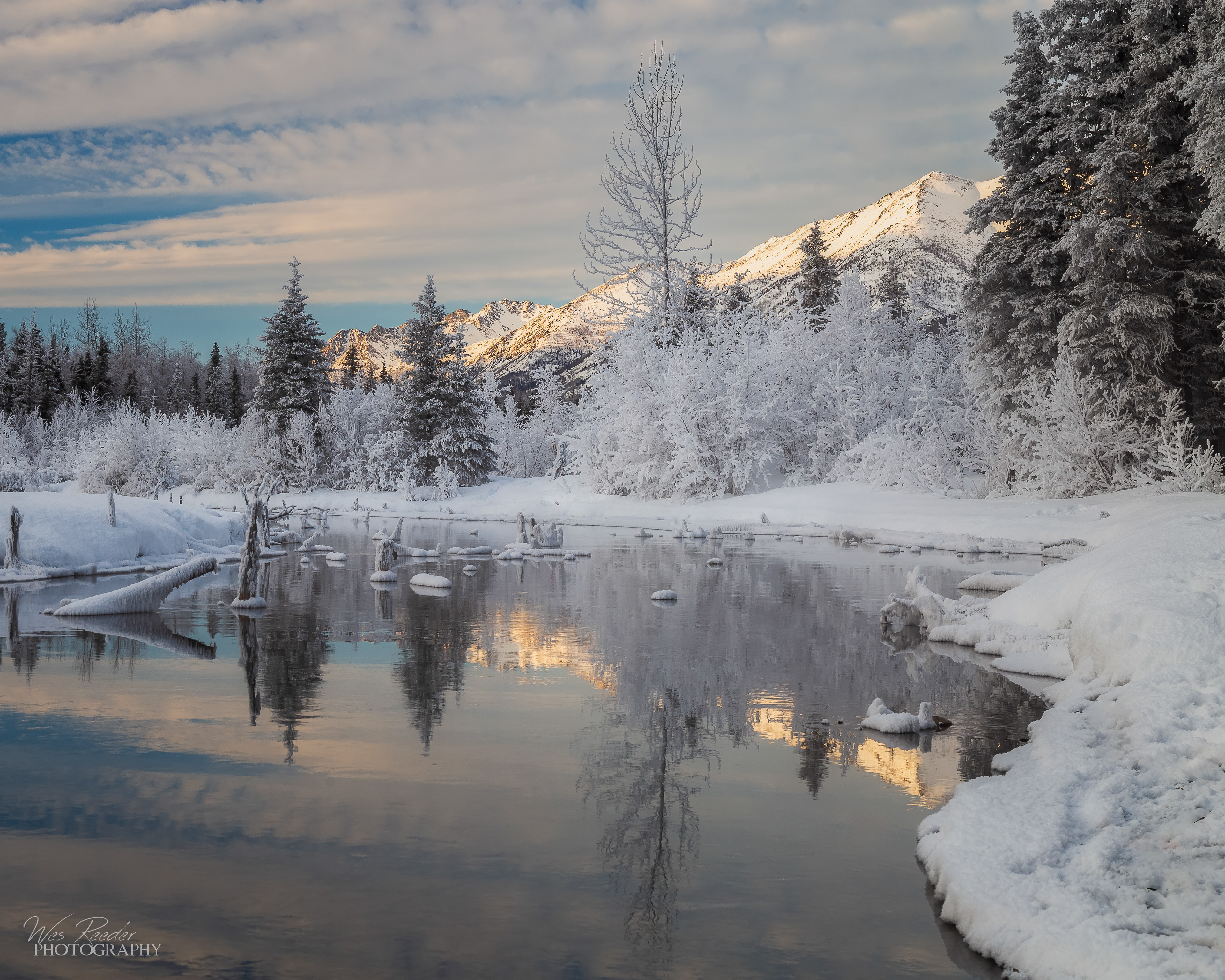 A Blanket of White
