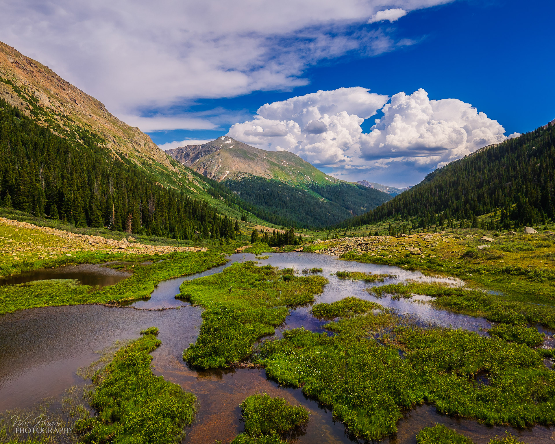 Beaver Ponds