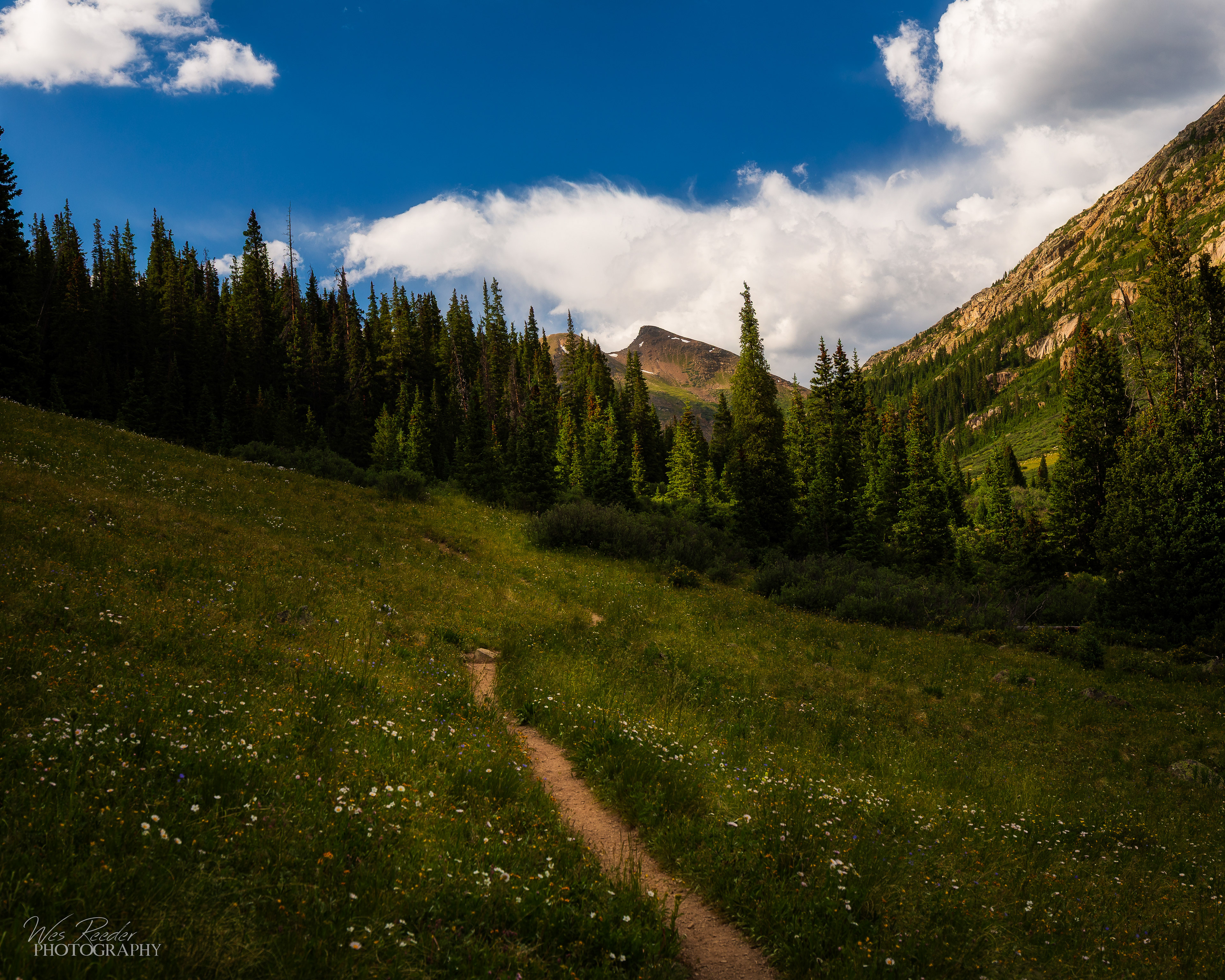 A Beautiful Walk