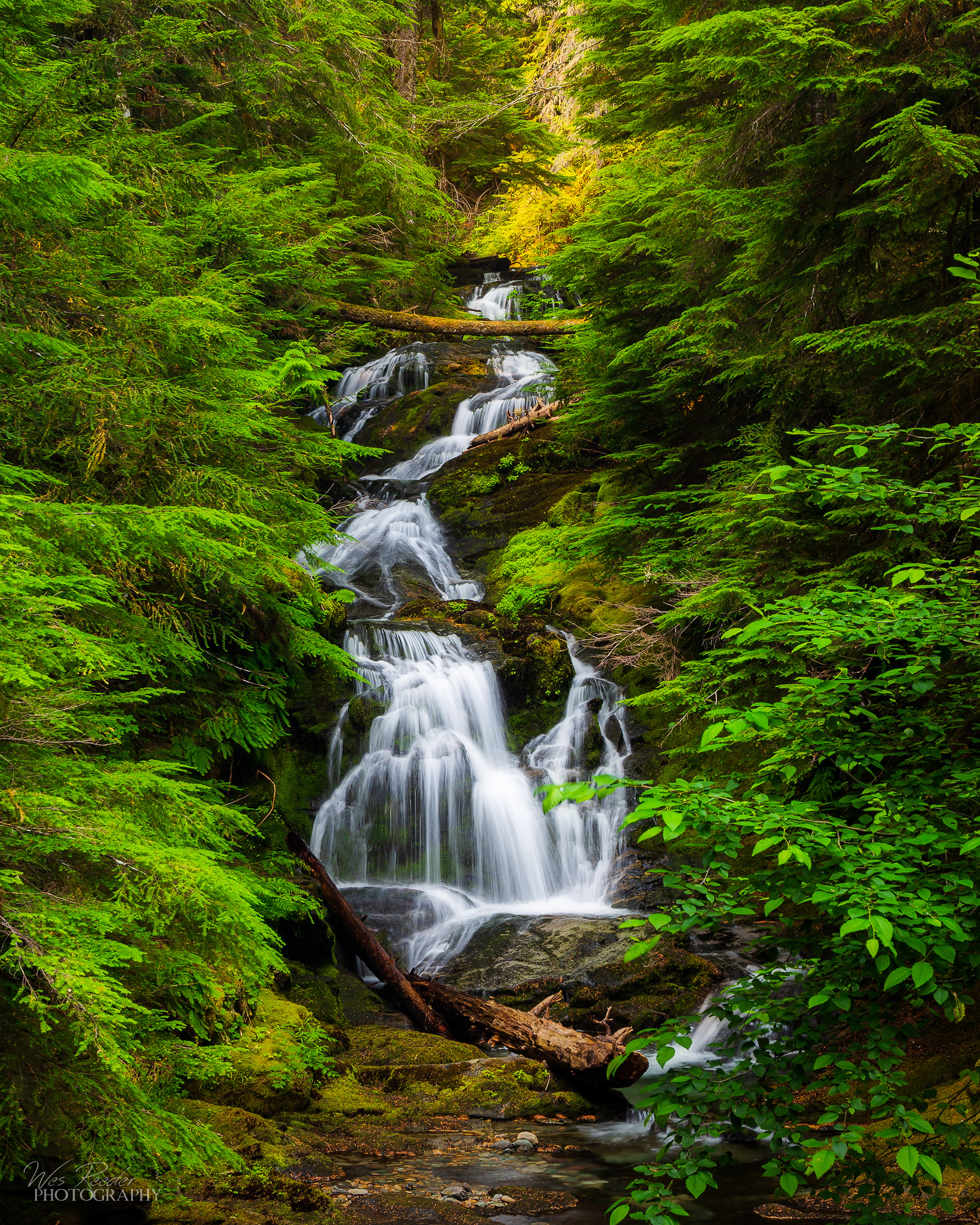 Waterfall in the Woods