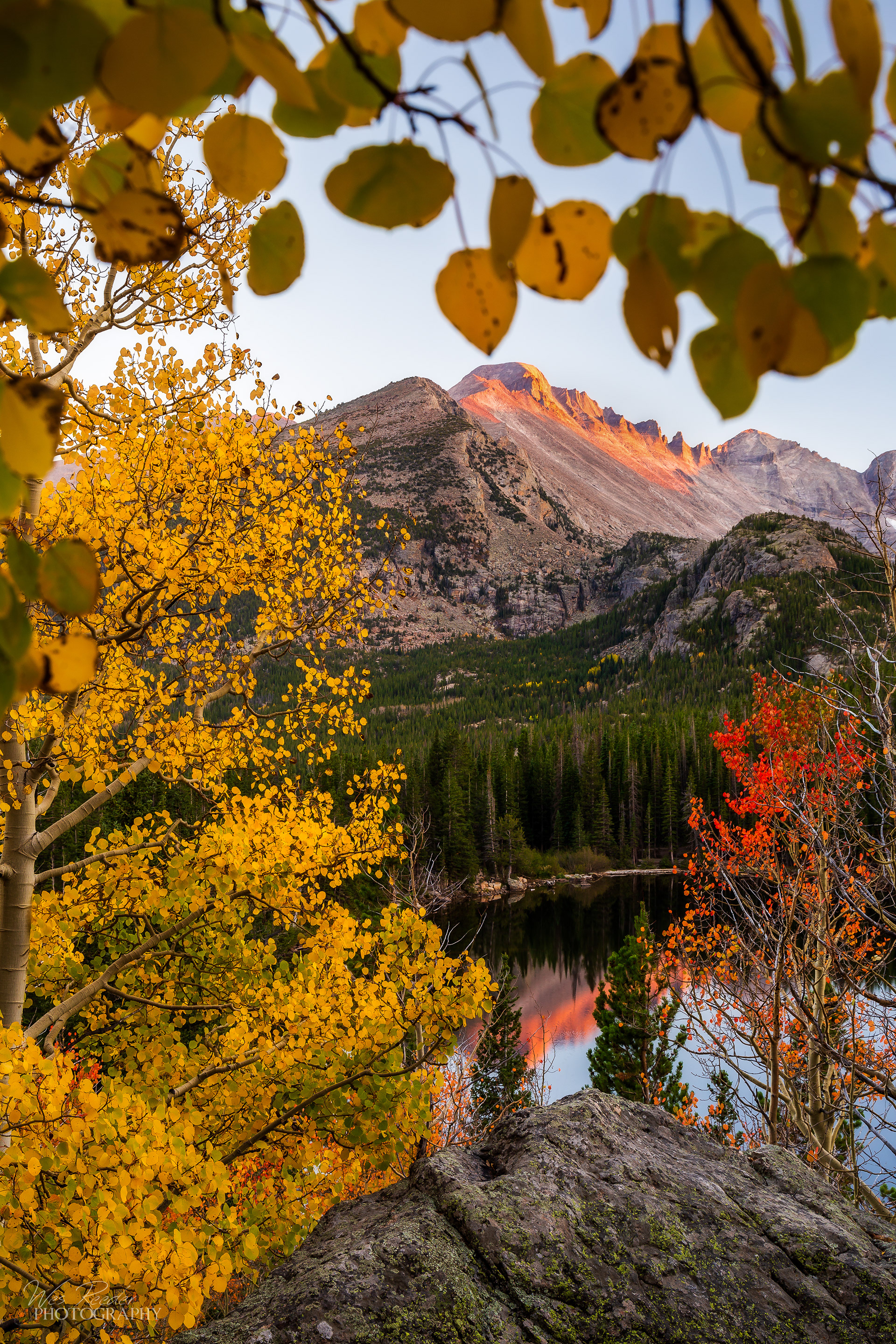 Fall Frame