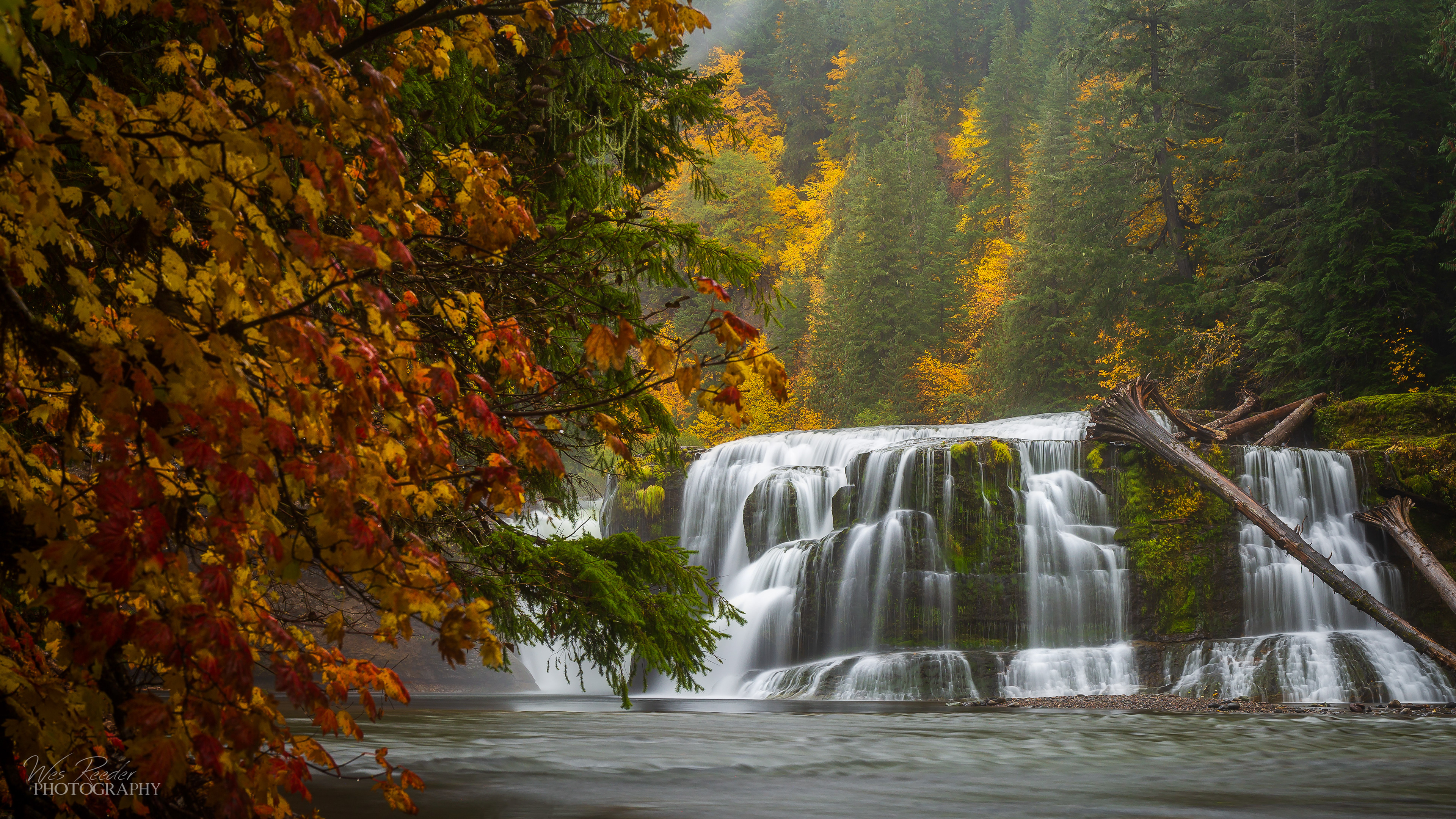 Fall is Here