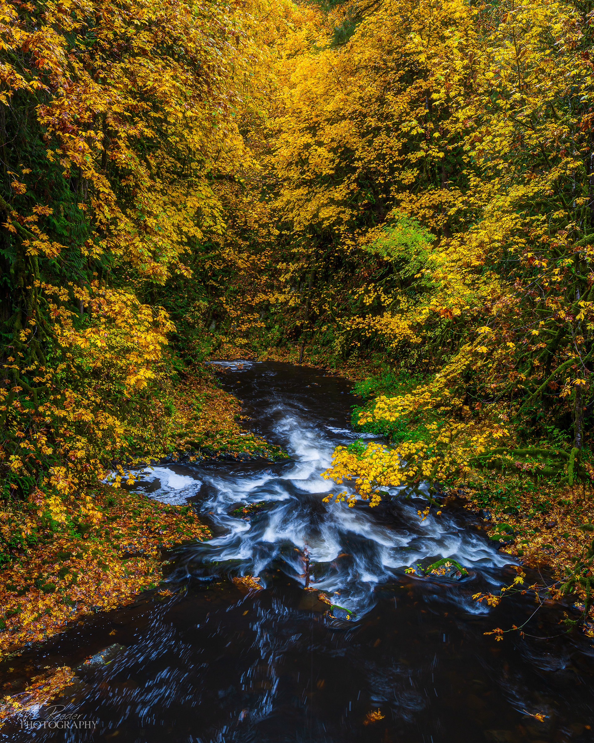 Golden Road