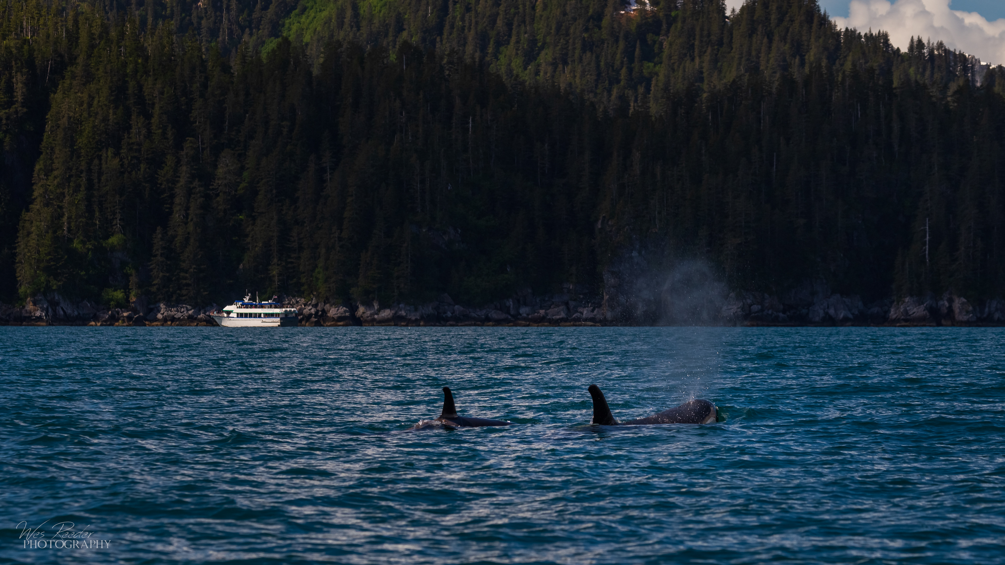 Orca III