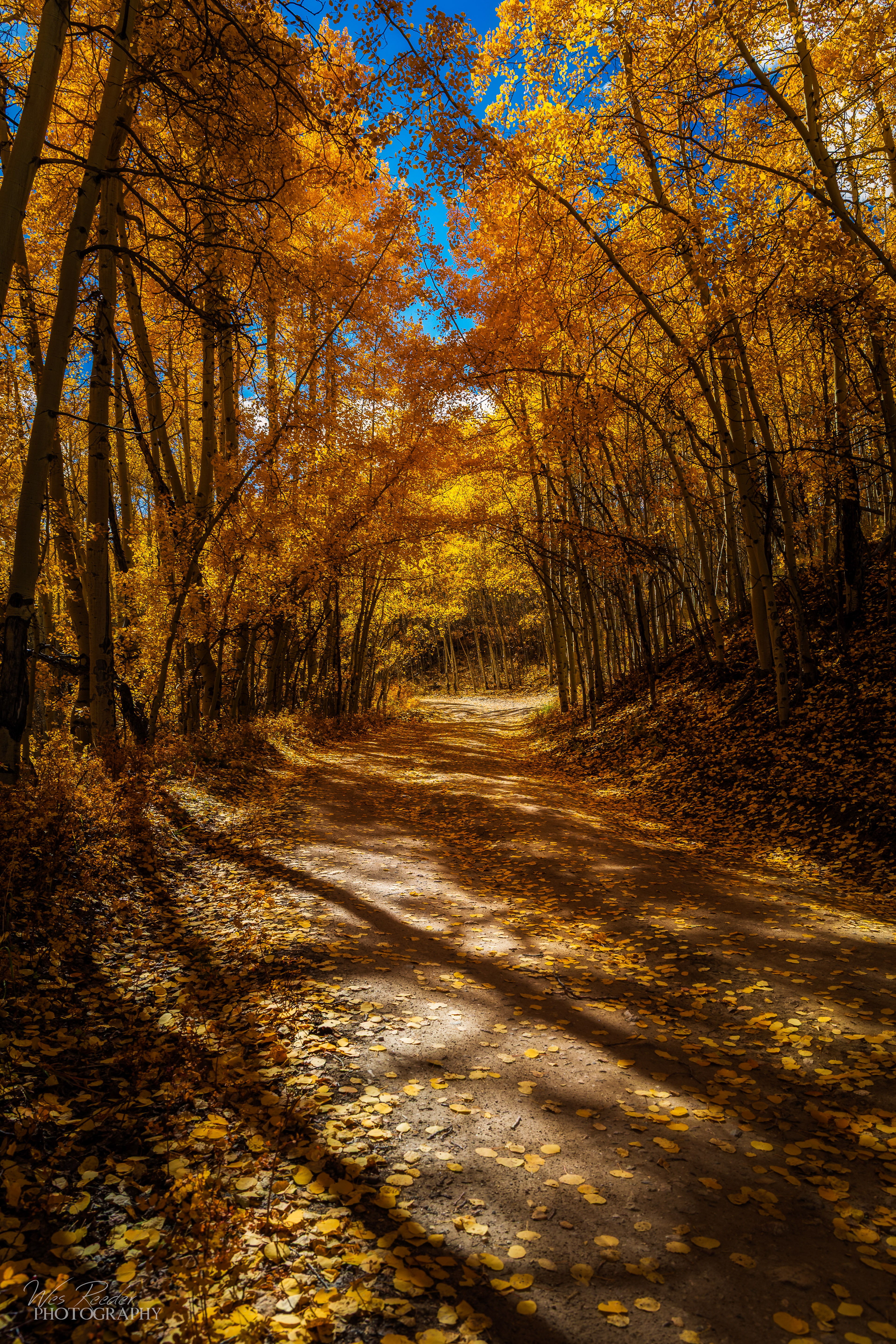 Golden Road