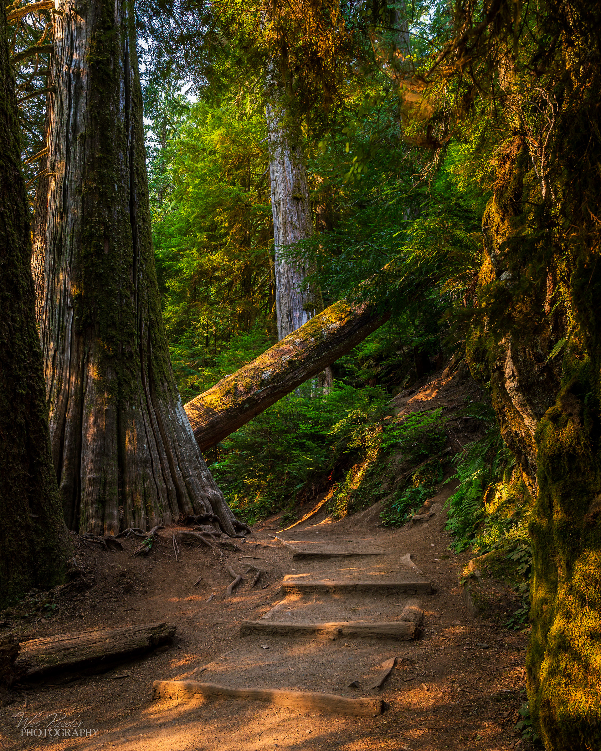 Just Around the Bend