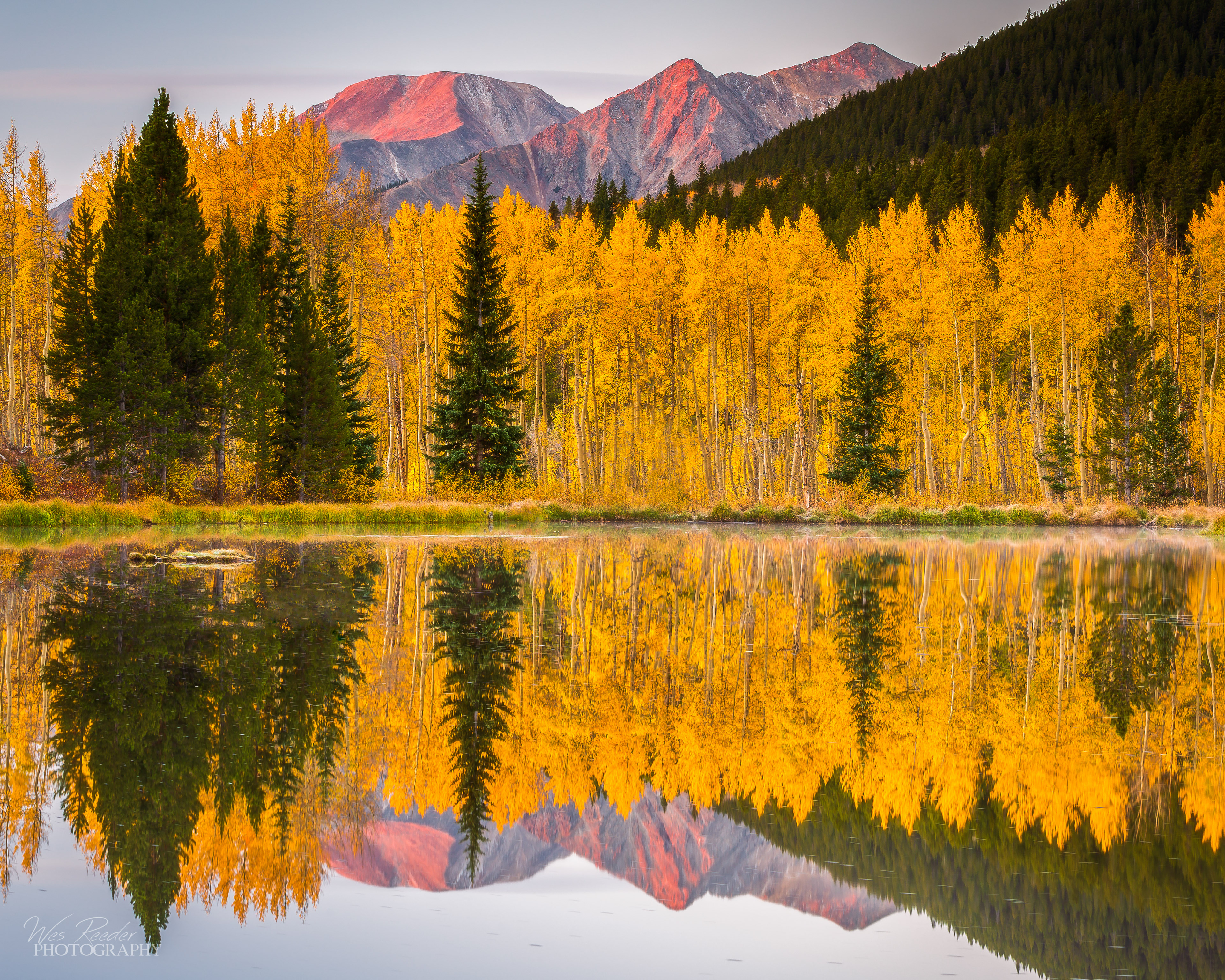Morning Mirror