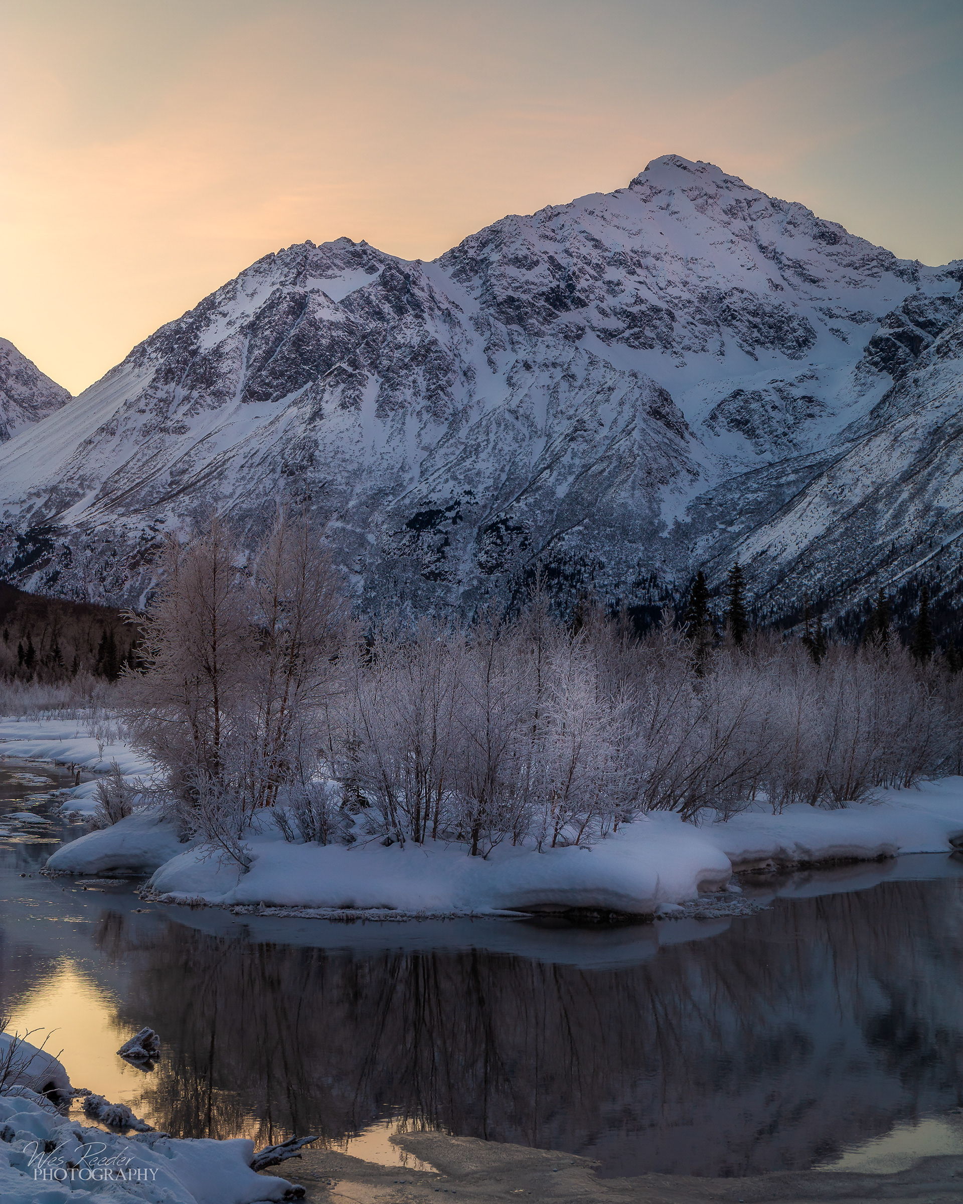 Early Frost
