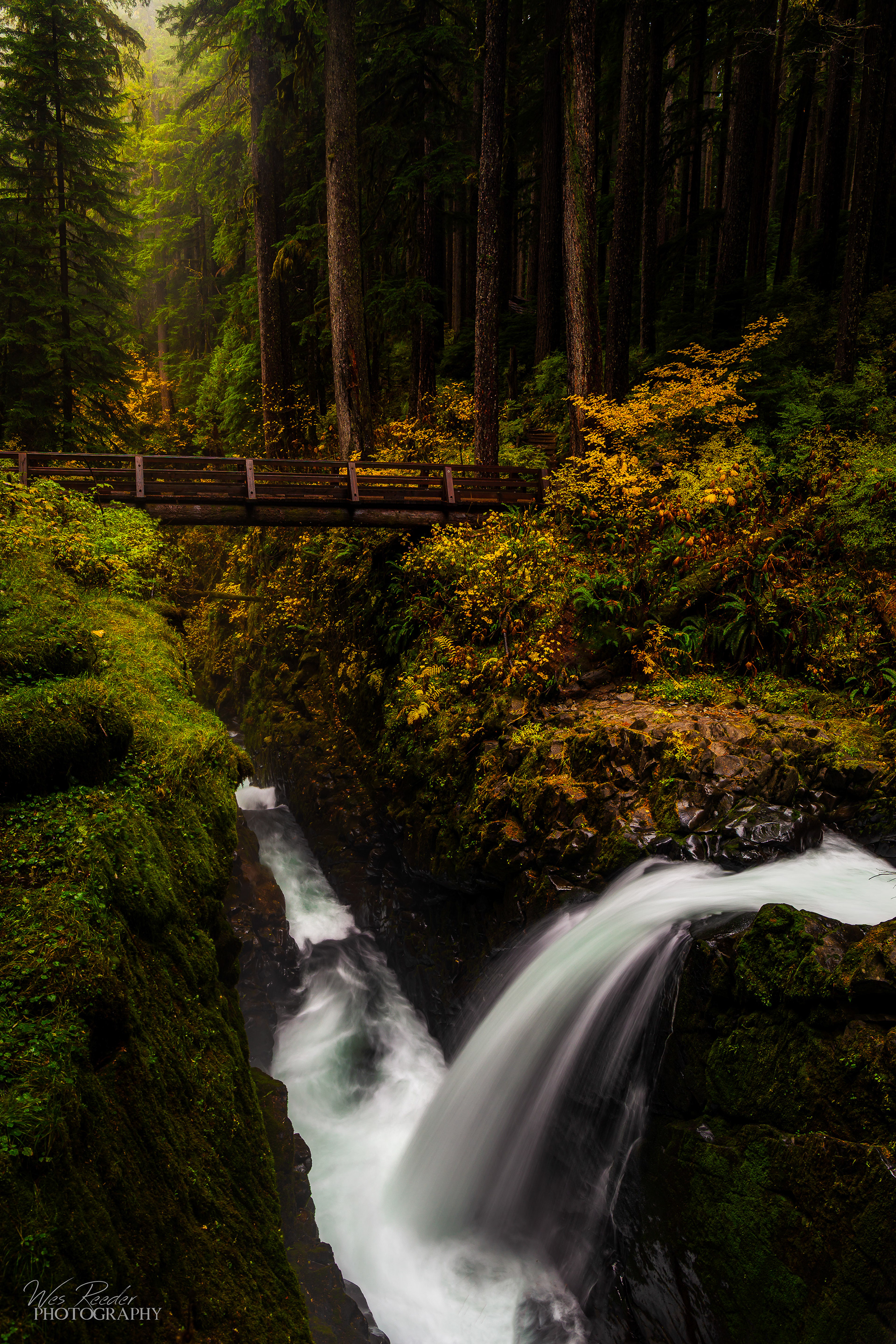 Mystical Hike