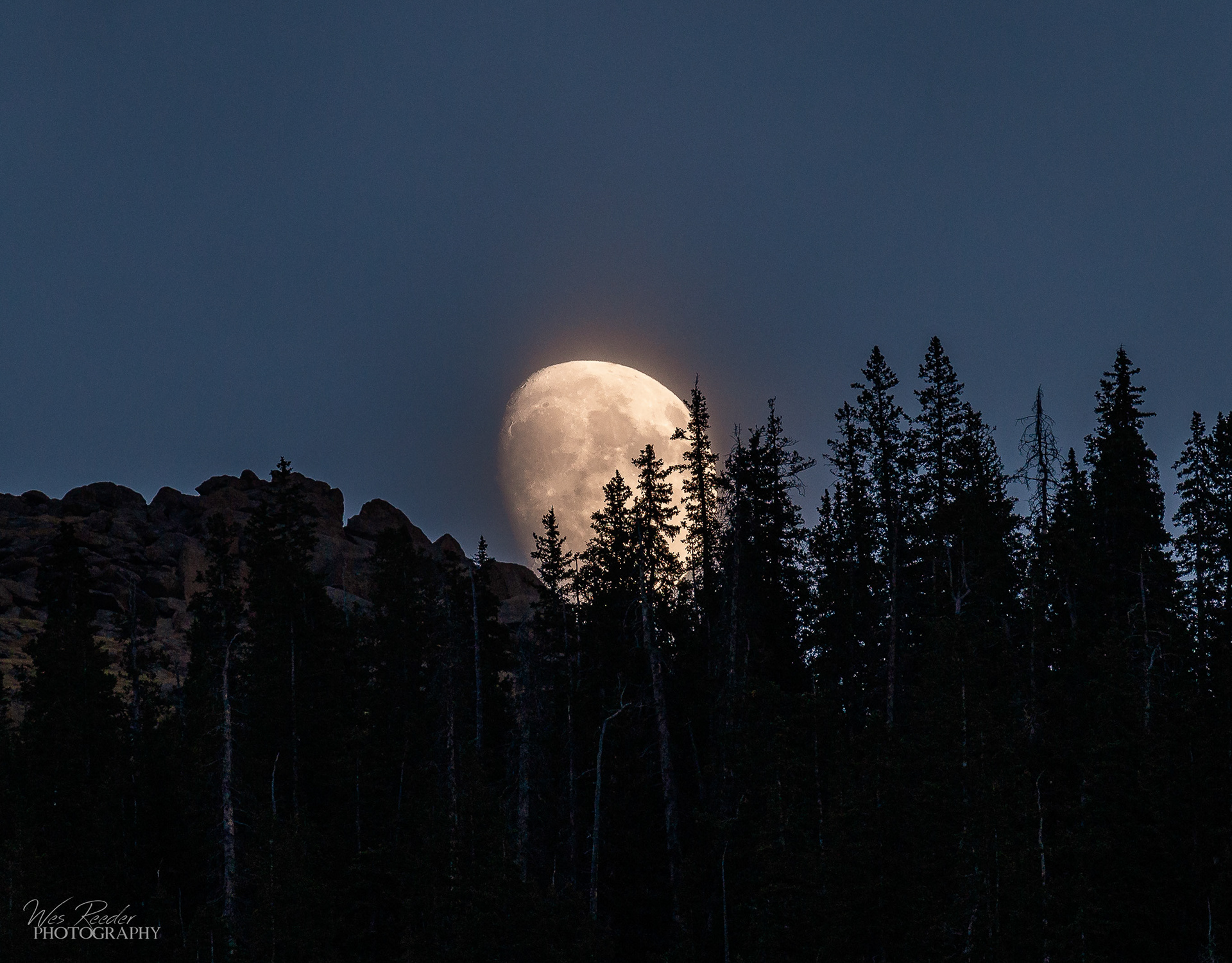 By the Moonlight
