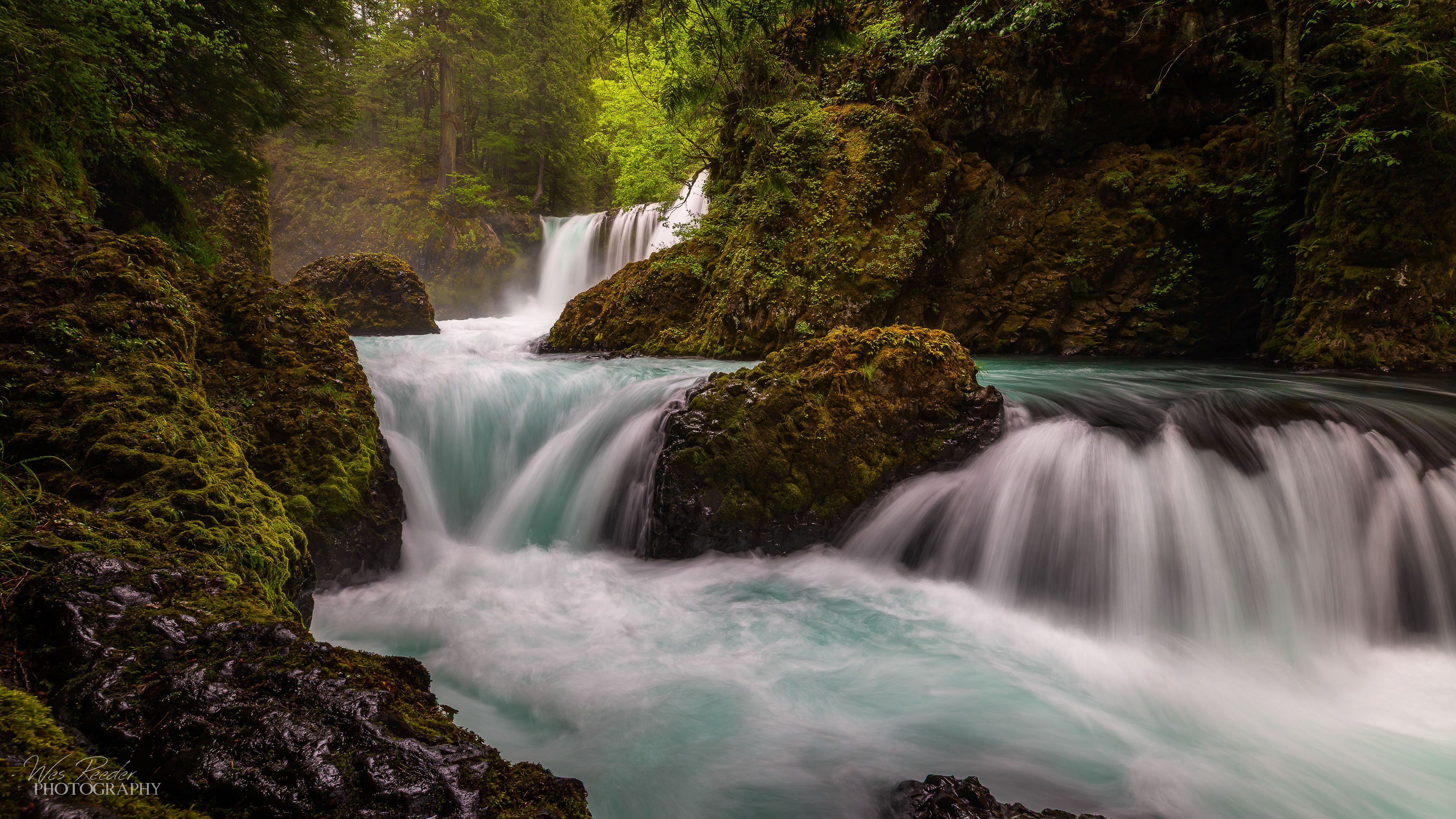 Spirit of the Water