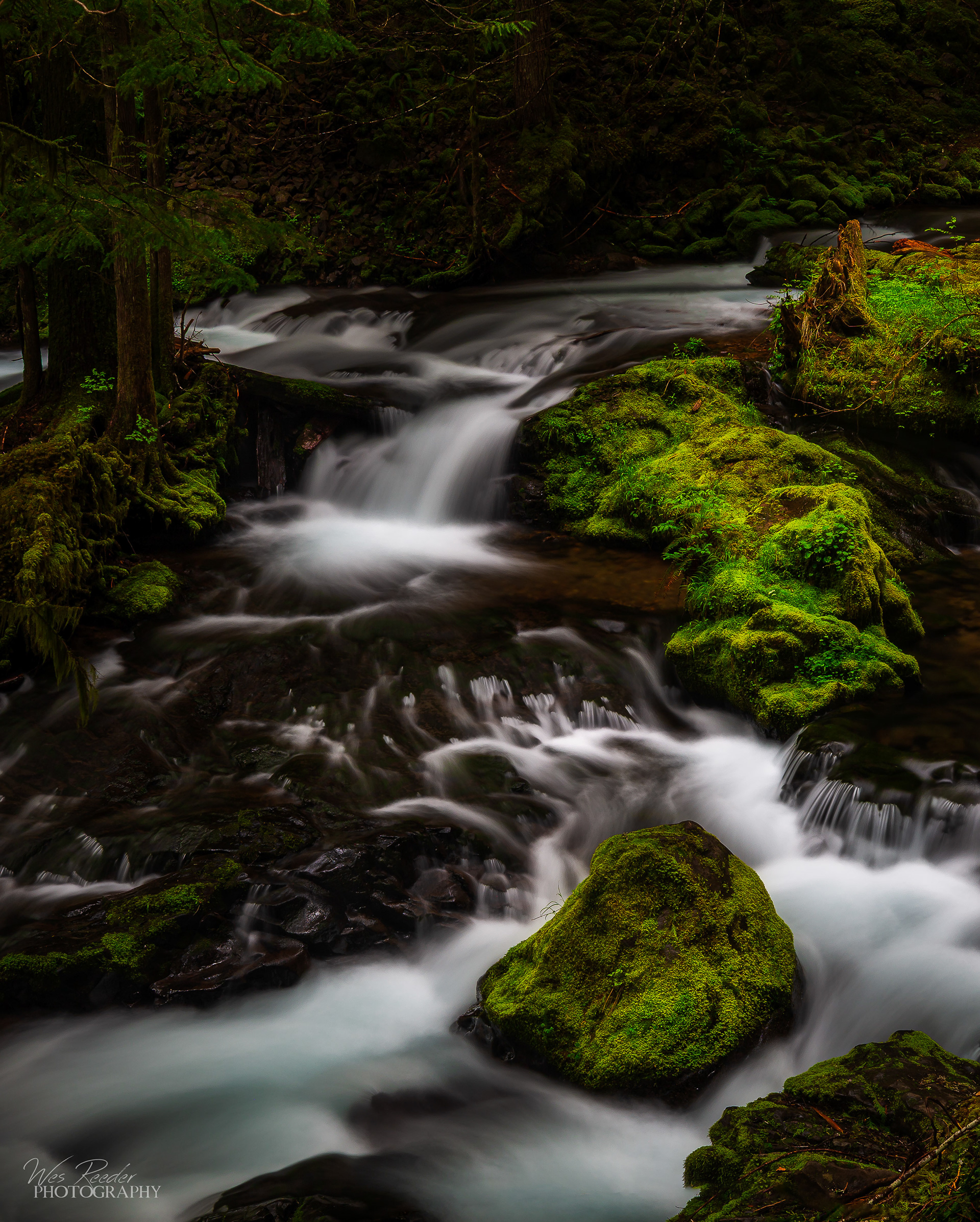 Mossy Flow
