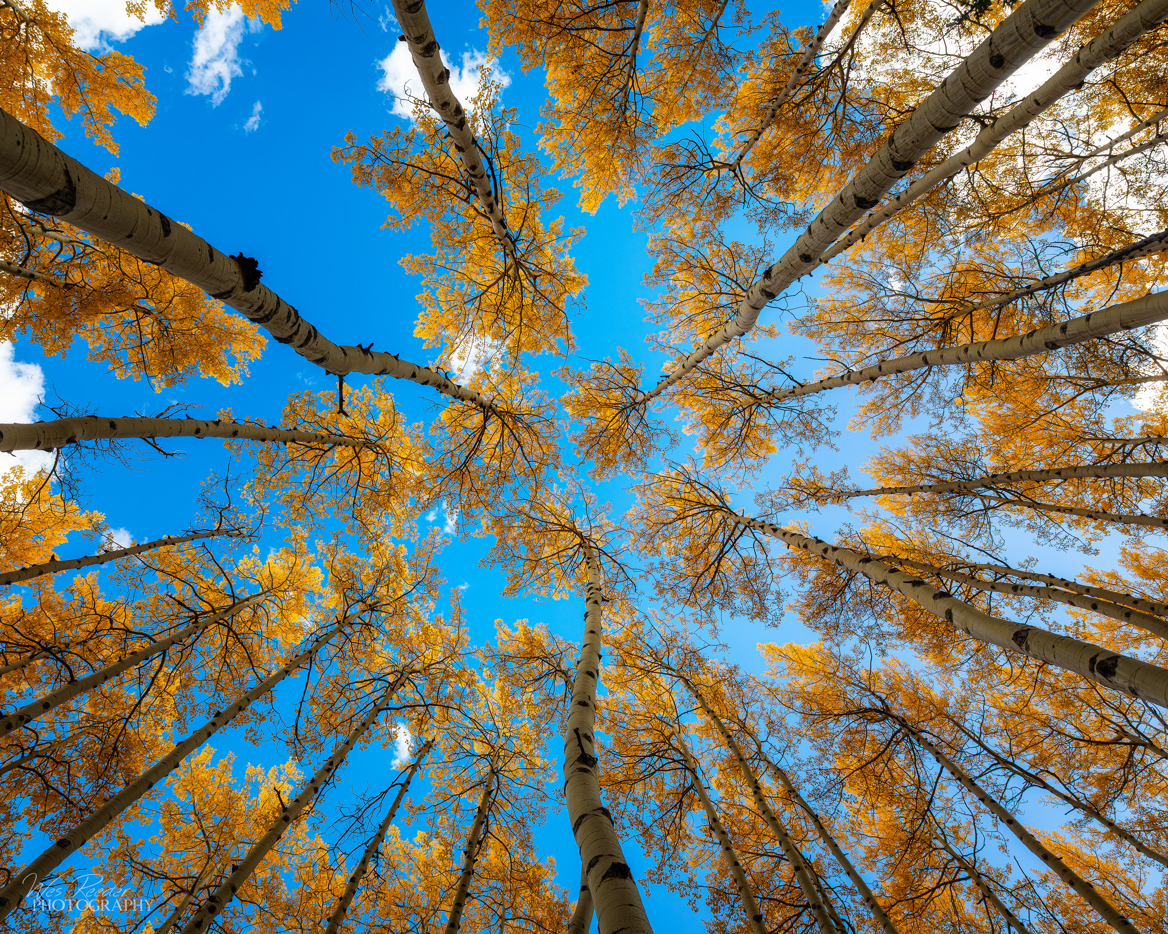 Look Up