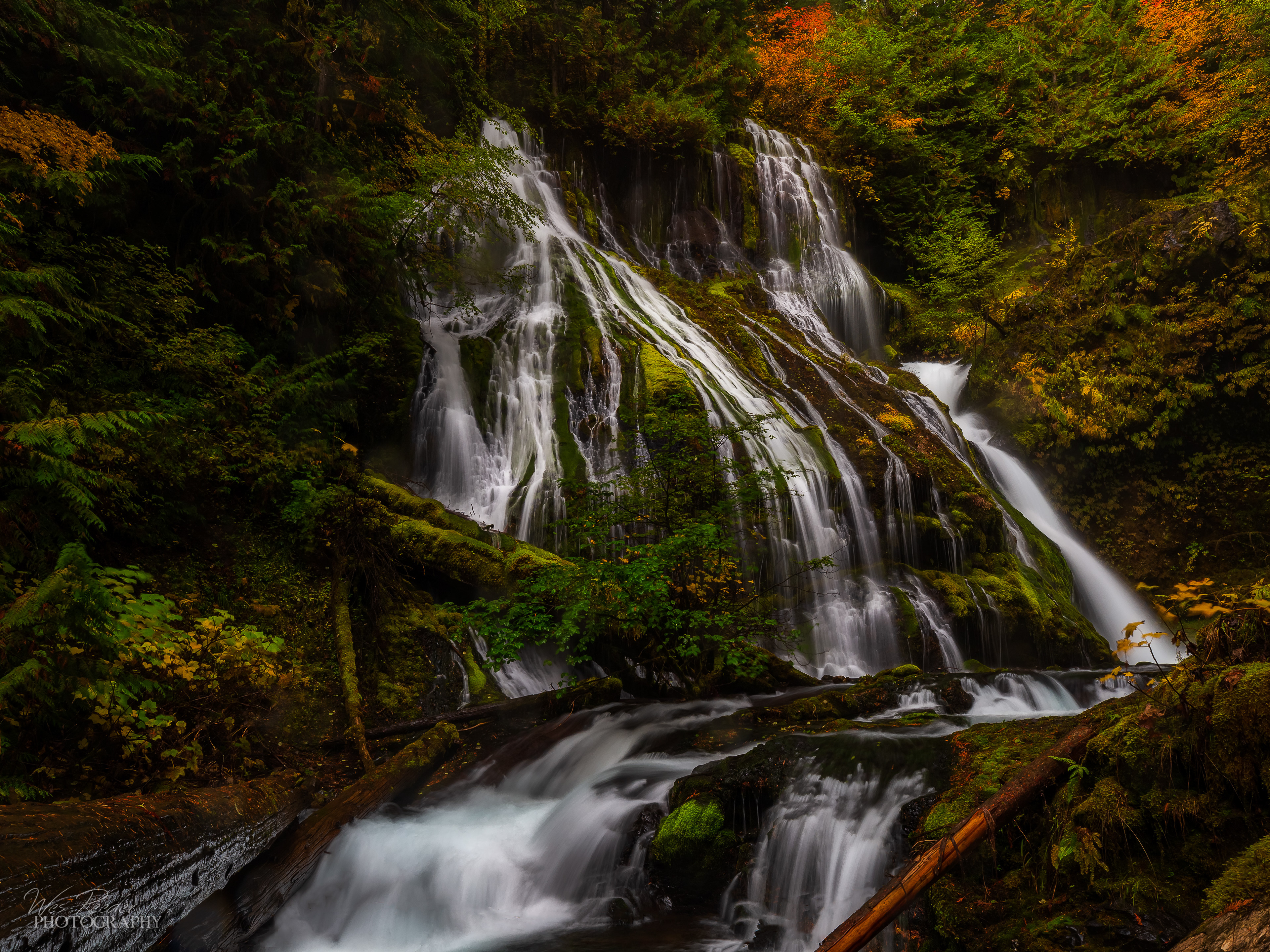 The Fall Kingdom