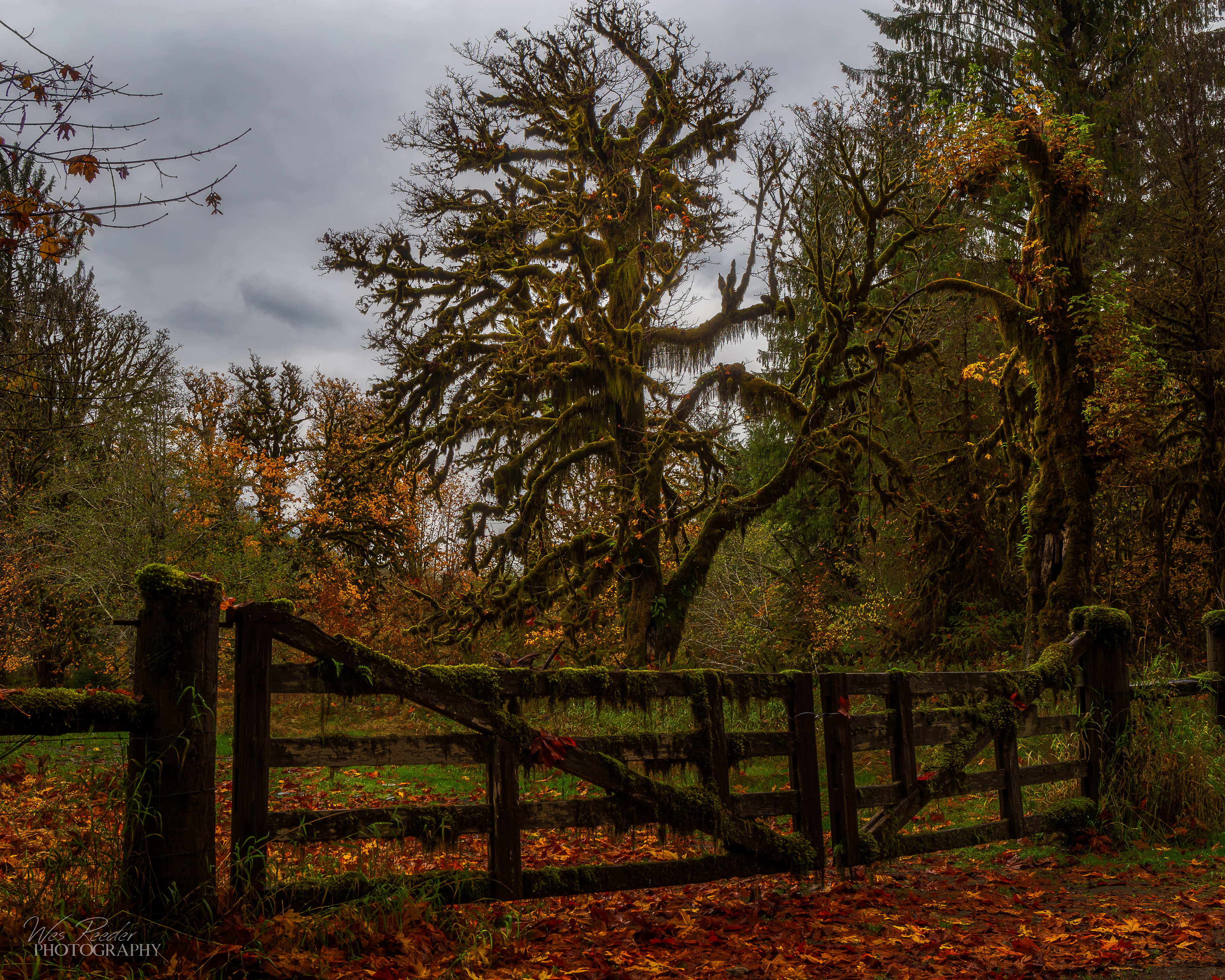 The Gate is Closed