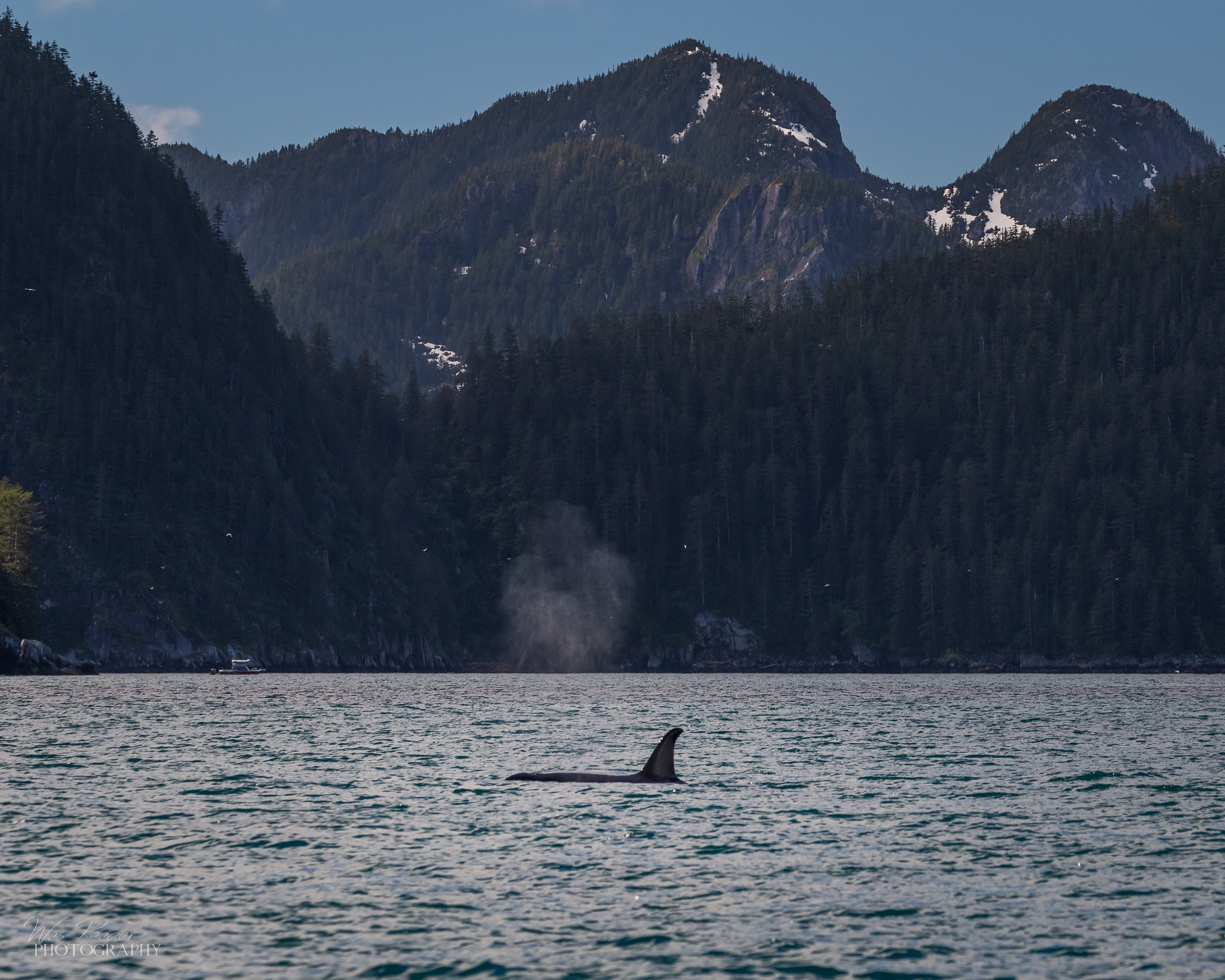 Orca I