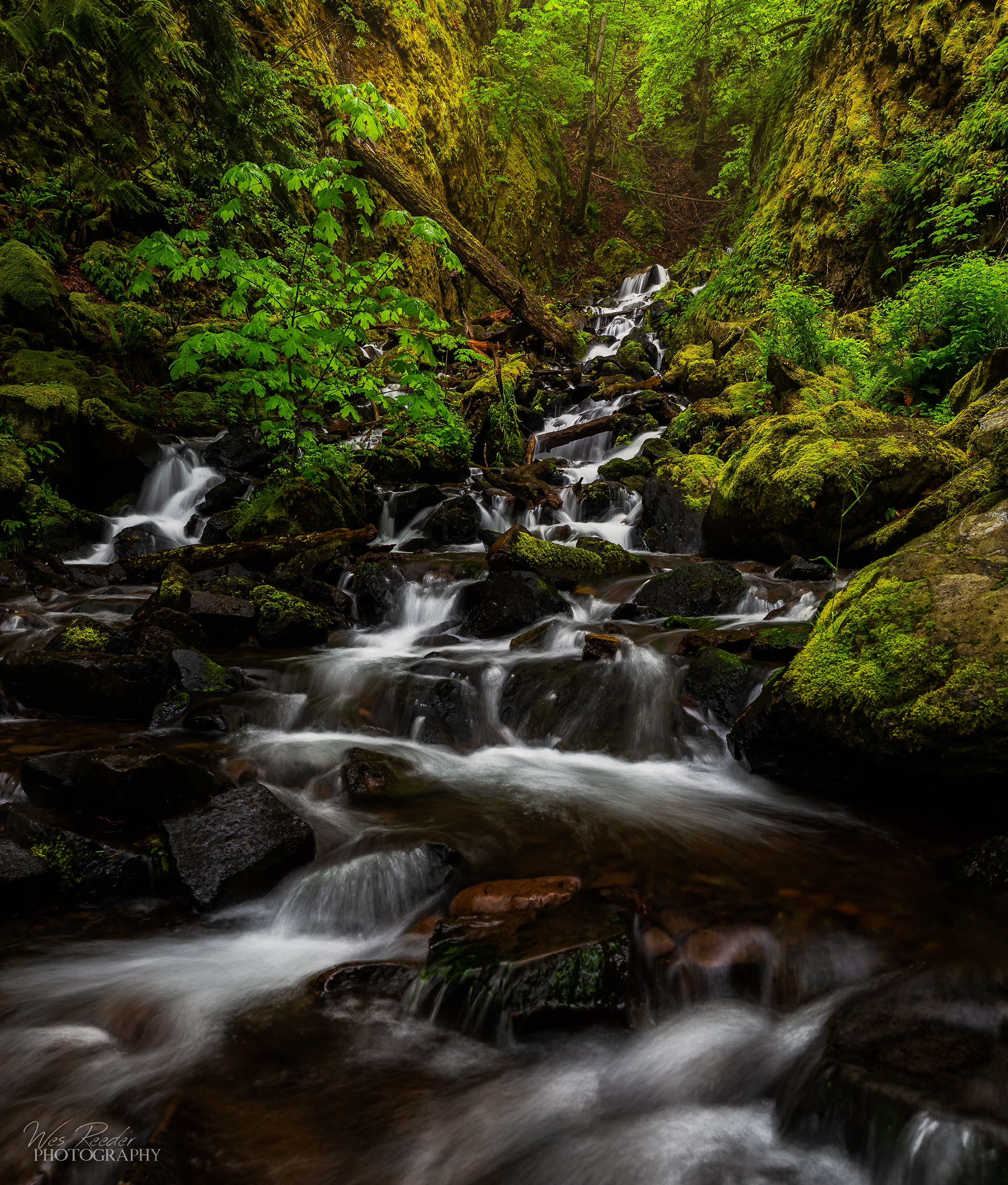 Cascade