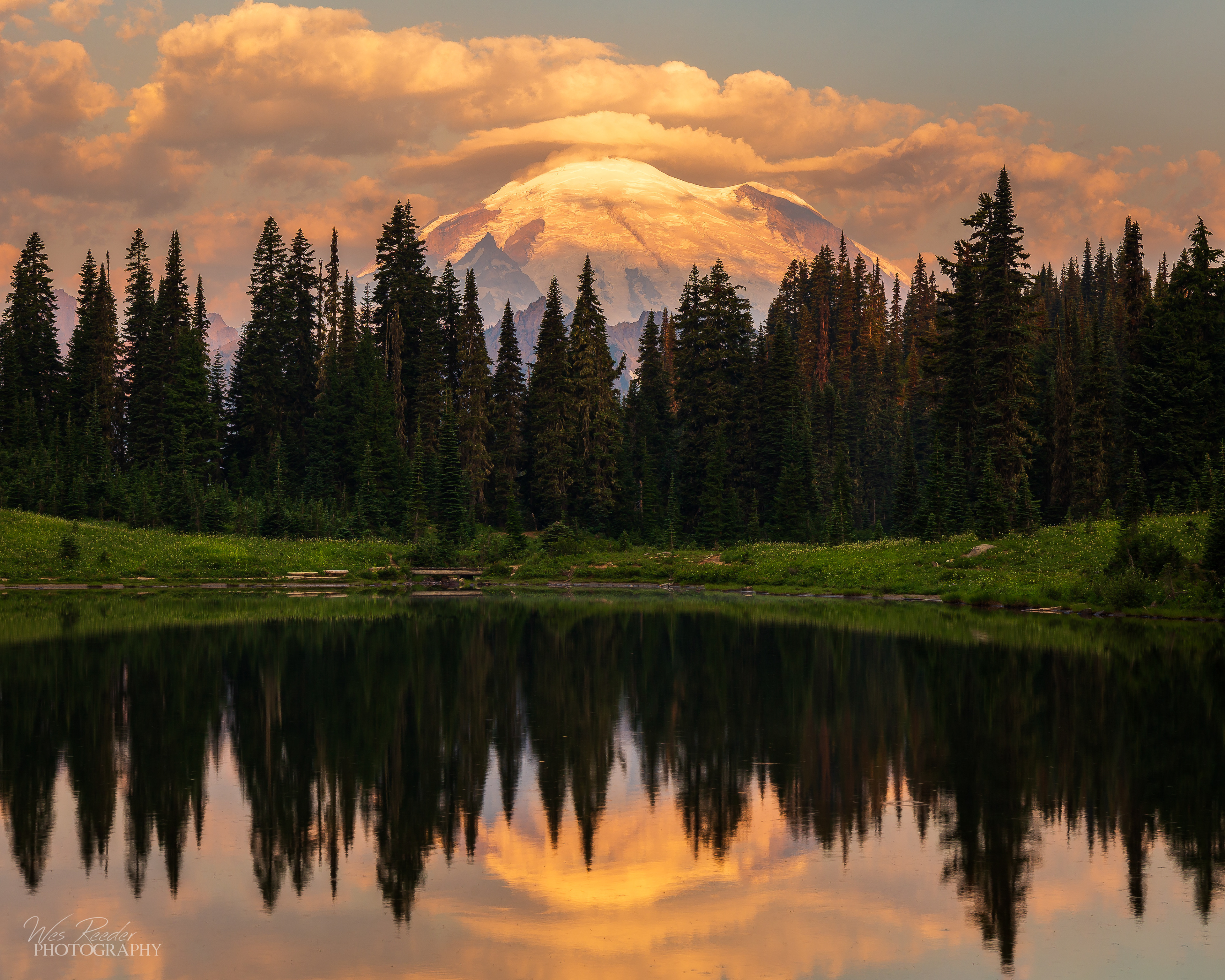 Rainier Reflection