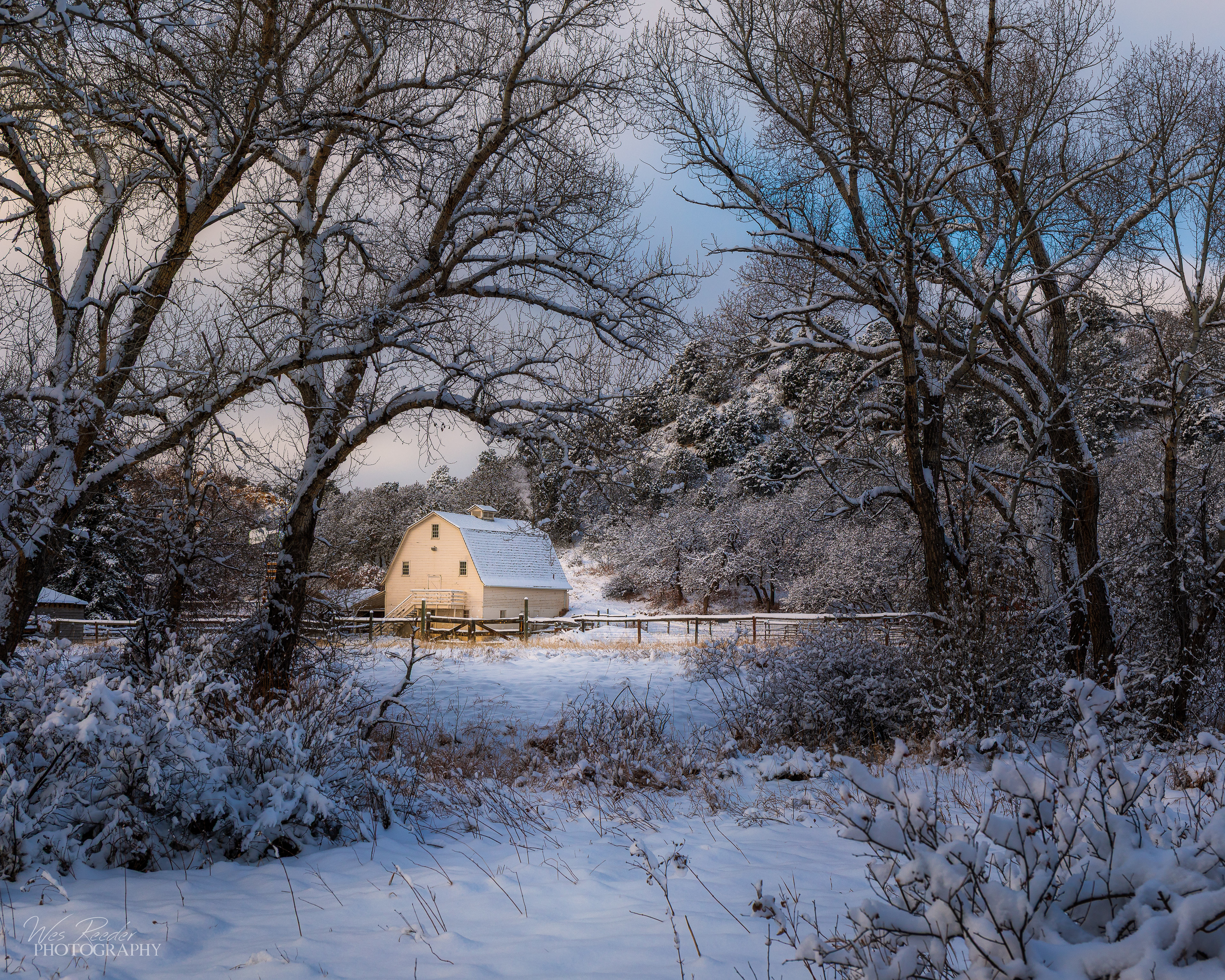 The Farm