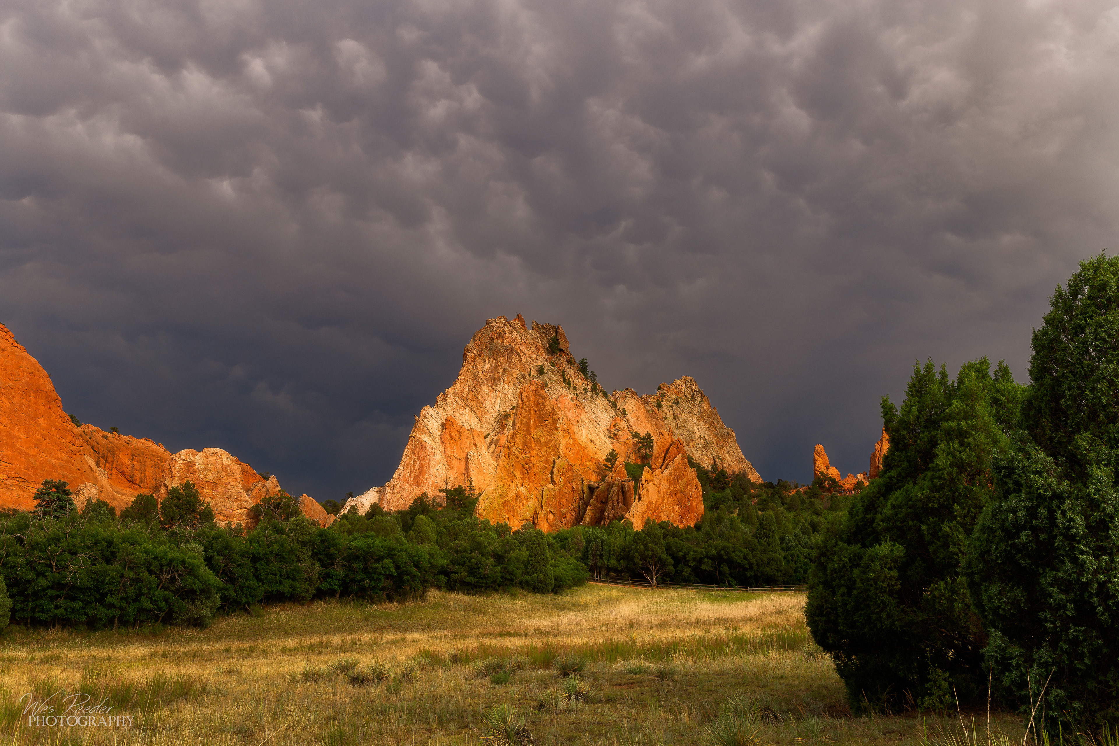 Storm in the Garden