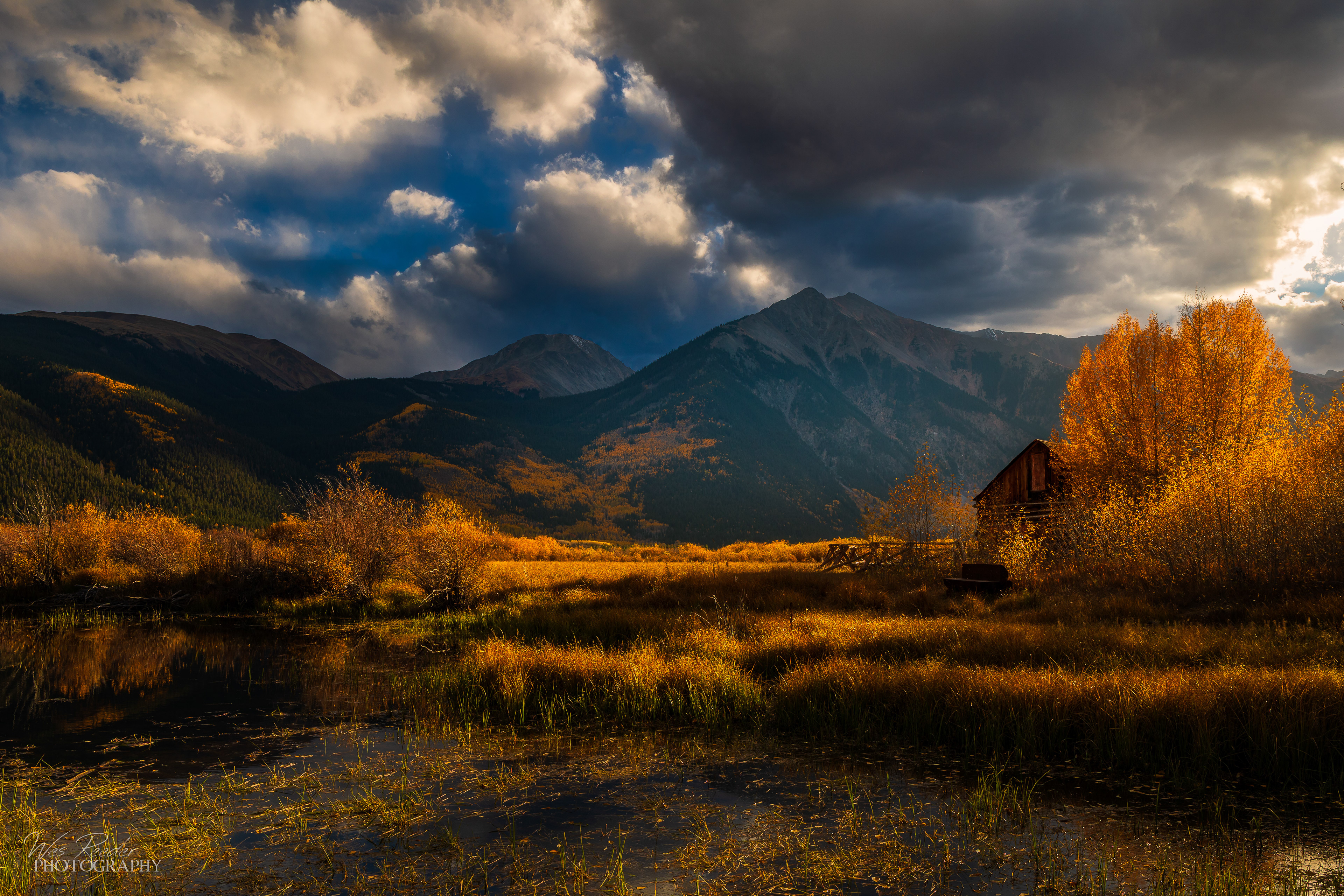 A Fall World