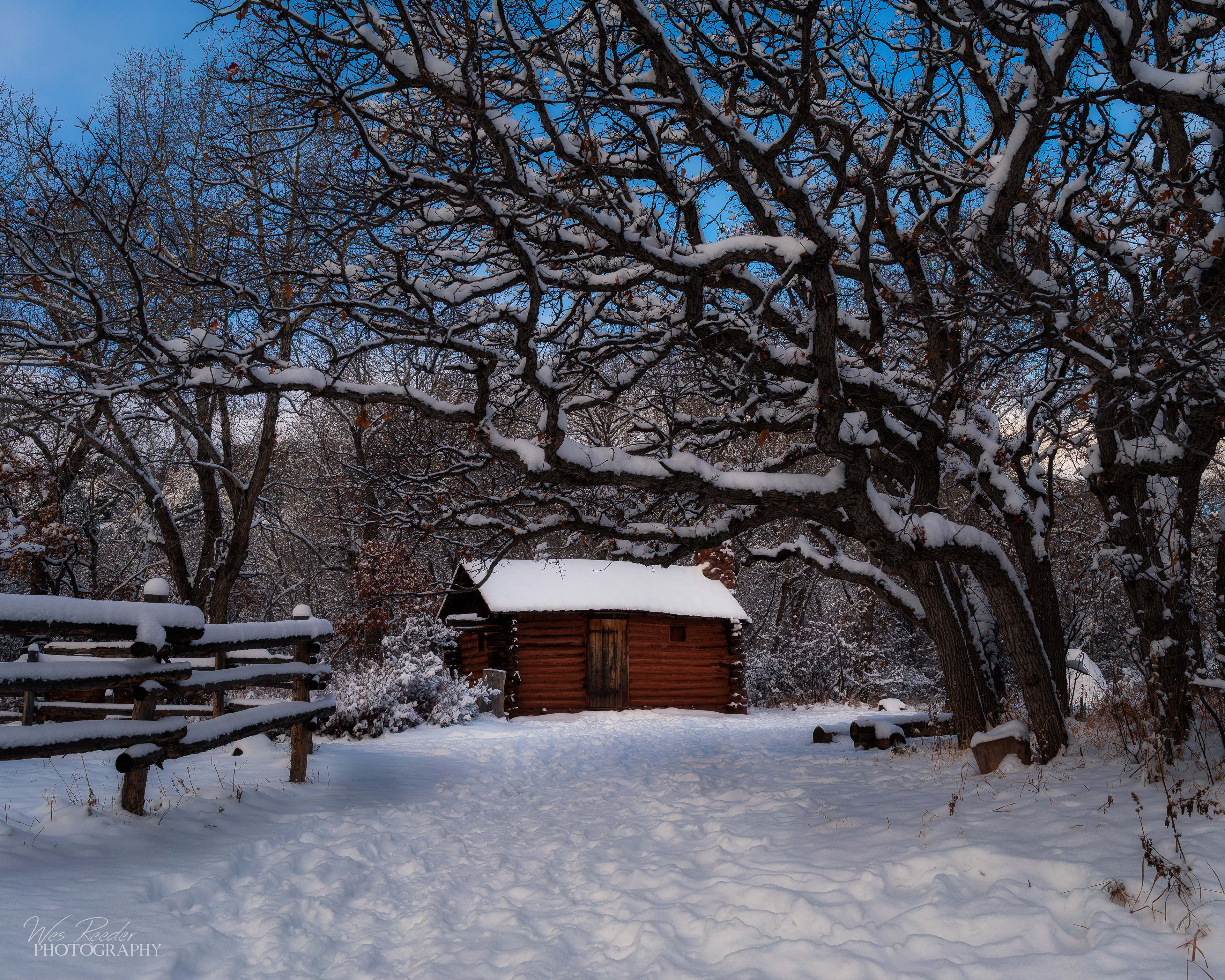 Cabin