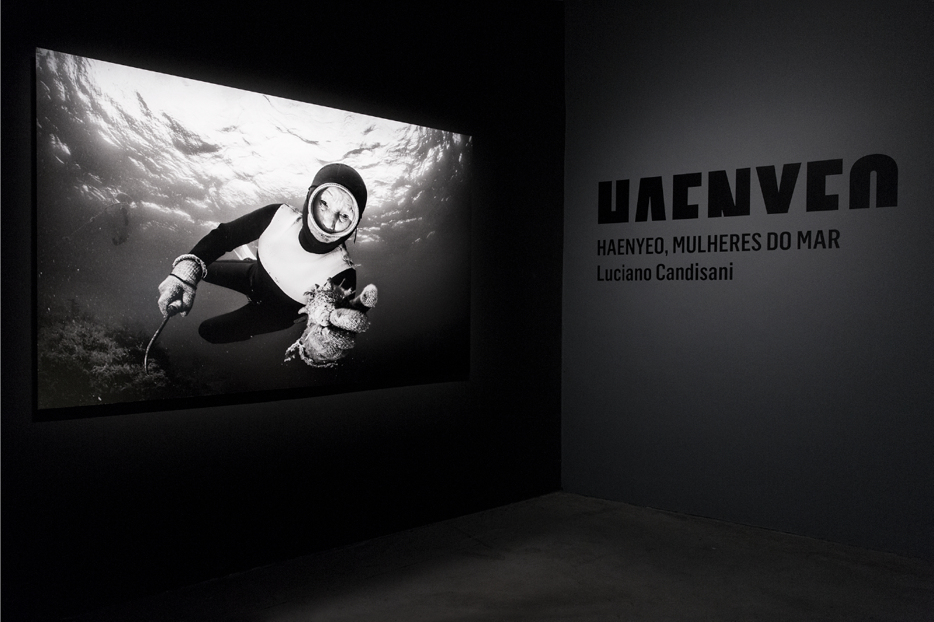 Identidade visual das aberturas das exposições