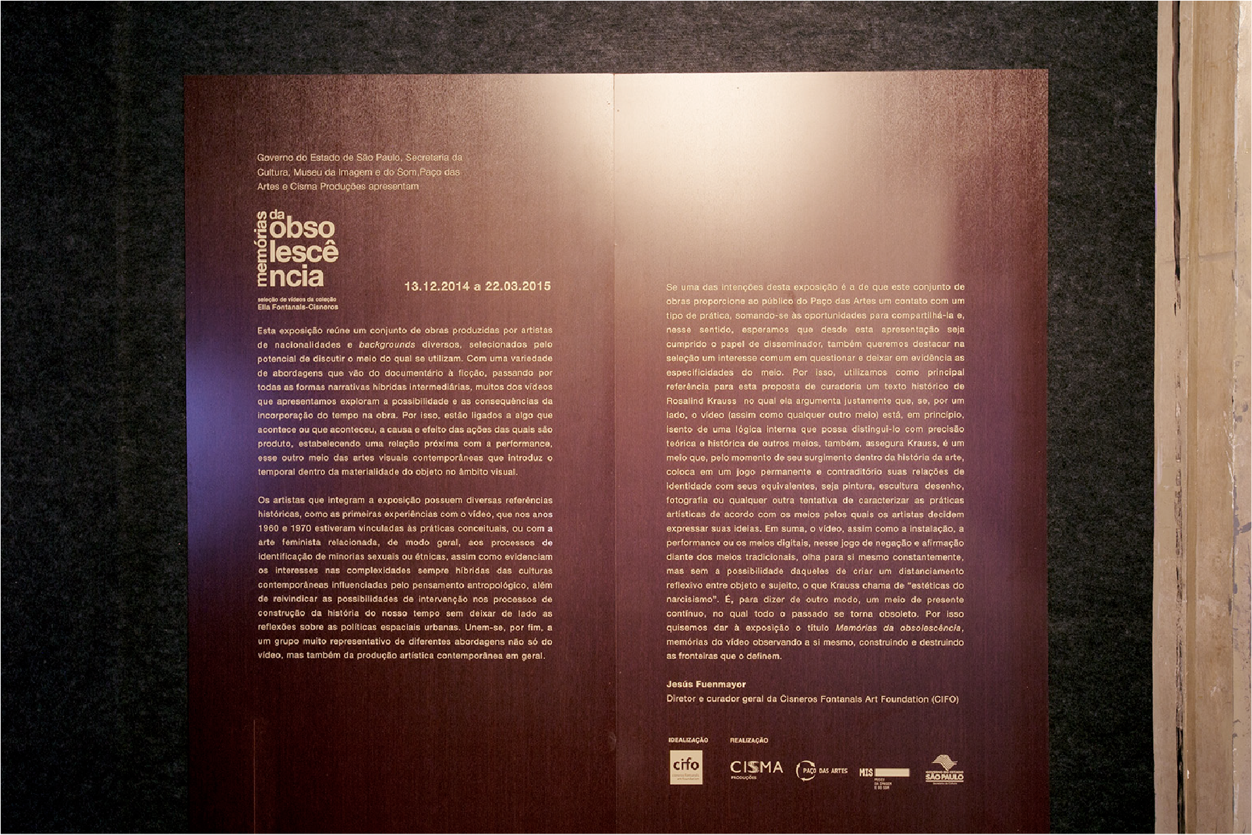 Painel texto curatorial