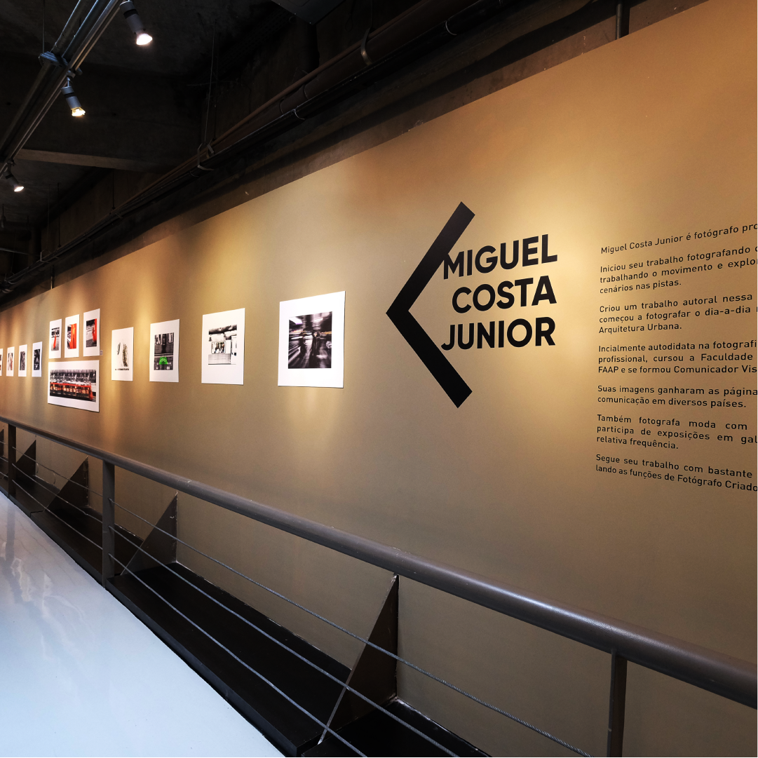 Identidade visual e organização das obras da exposição