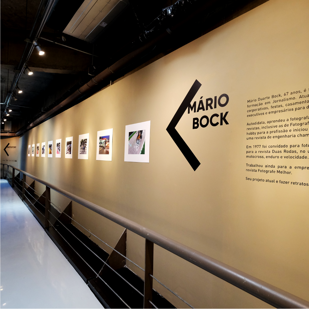 Identidade visual e organização das obras da exposição