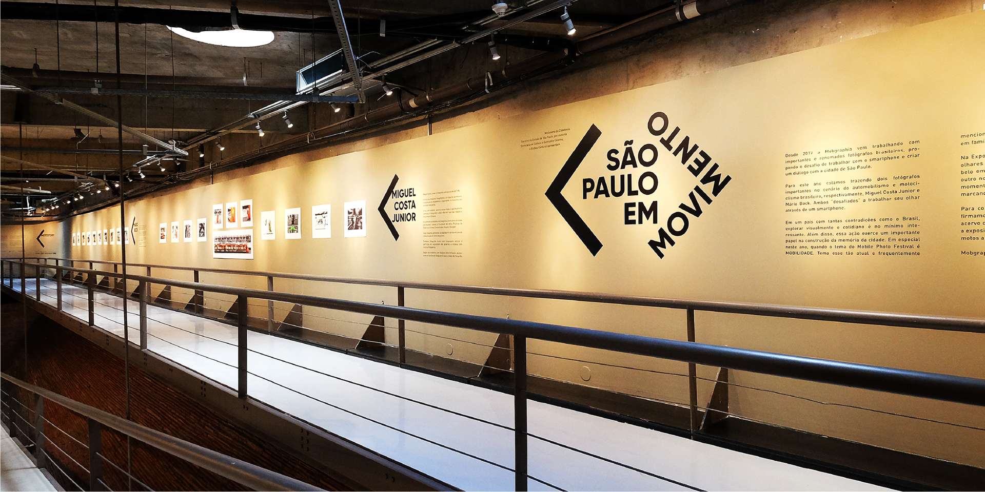 Identidade visual e organização das obras da exposição