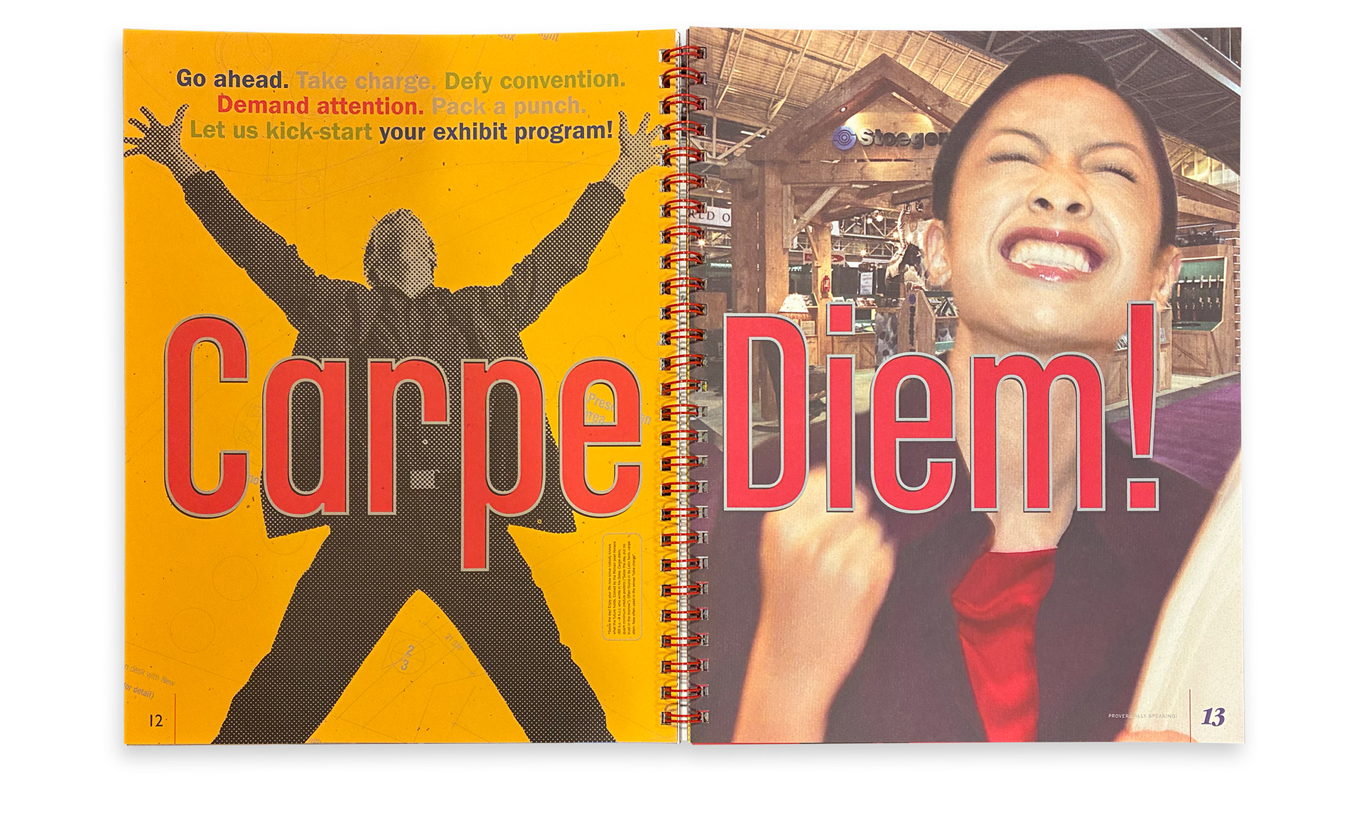CESI Proverbially Speaking capabilities book spreads using proverbs, visual wordplay, custom photography, illustration, die cuts, and specialty printing.