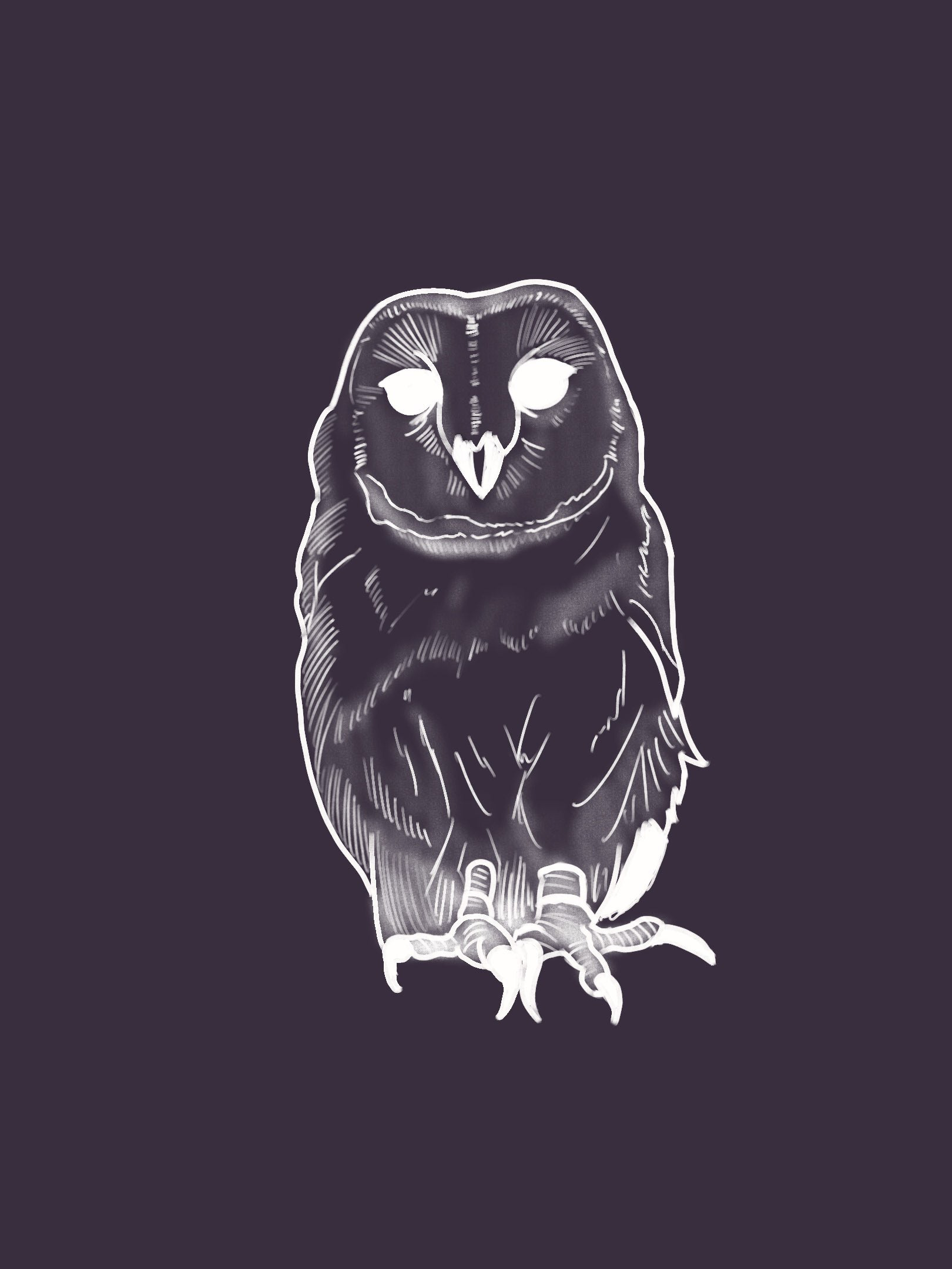 Barred Owl (2021)