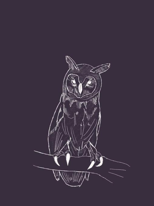 Owl (2020)