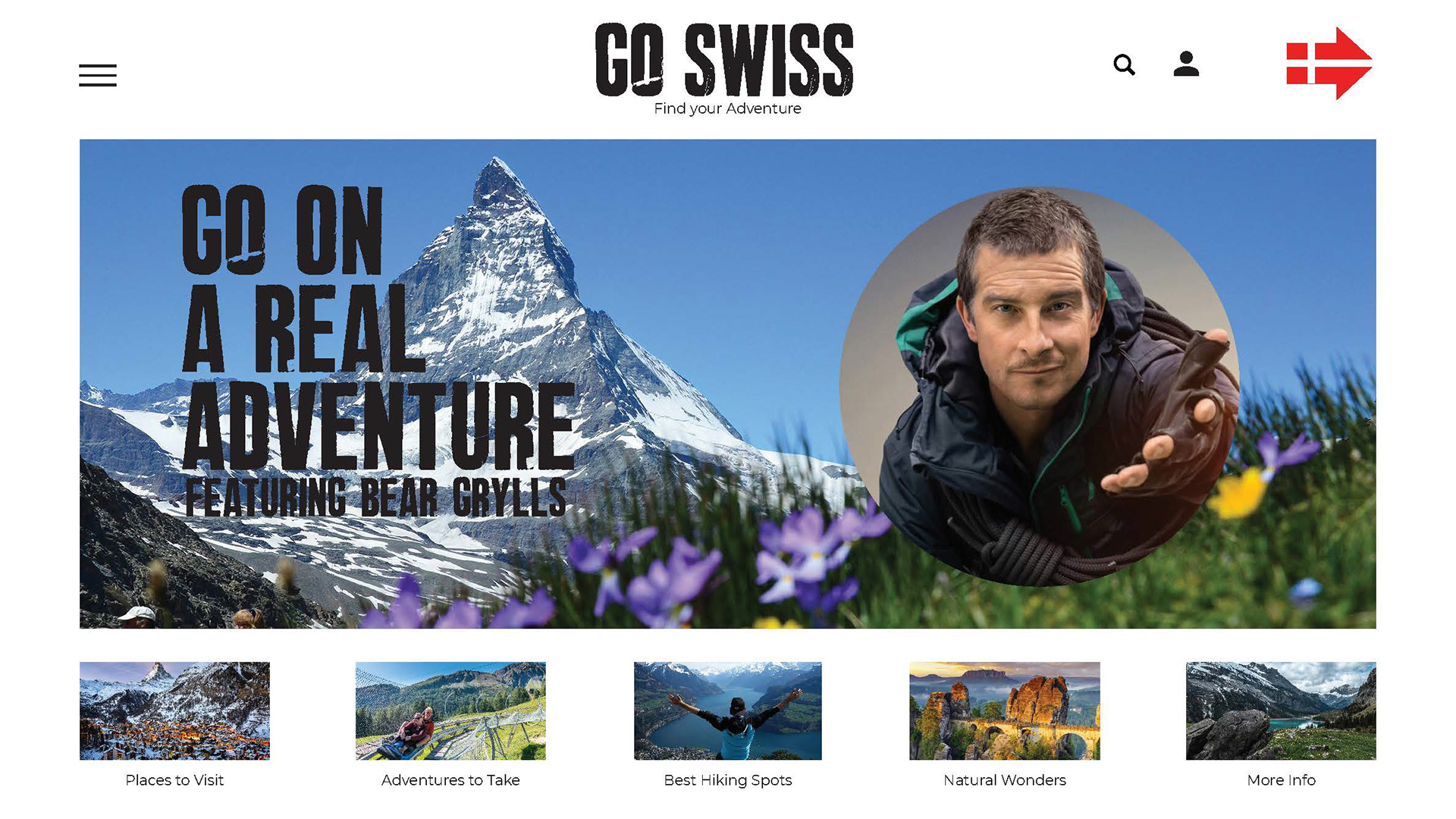 Go Swiss Website