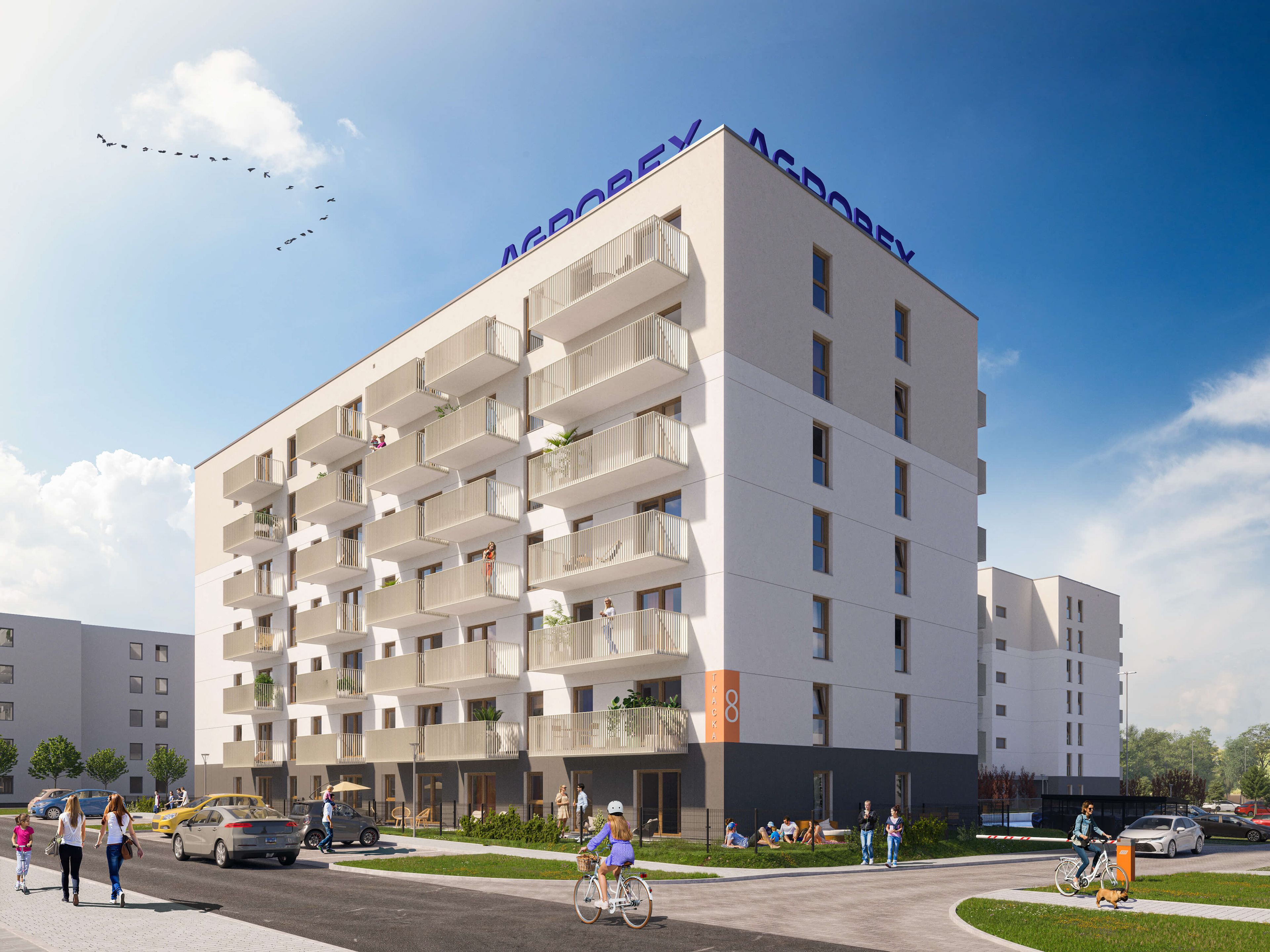 Wizualizacja 3D - Osiedle Tkacka, Sulechów dla Agrobex - budynek od strony ulicy - ujęcie dzienne