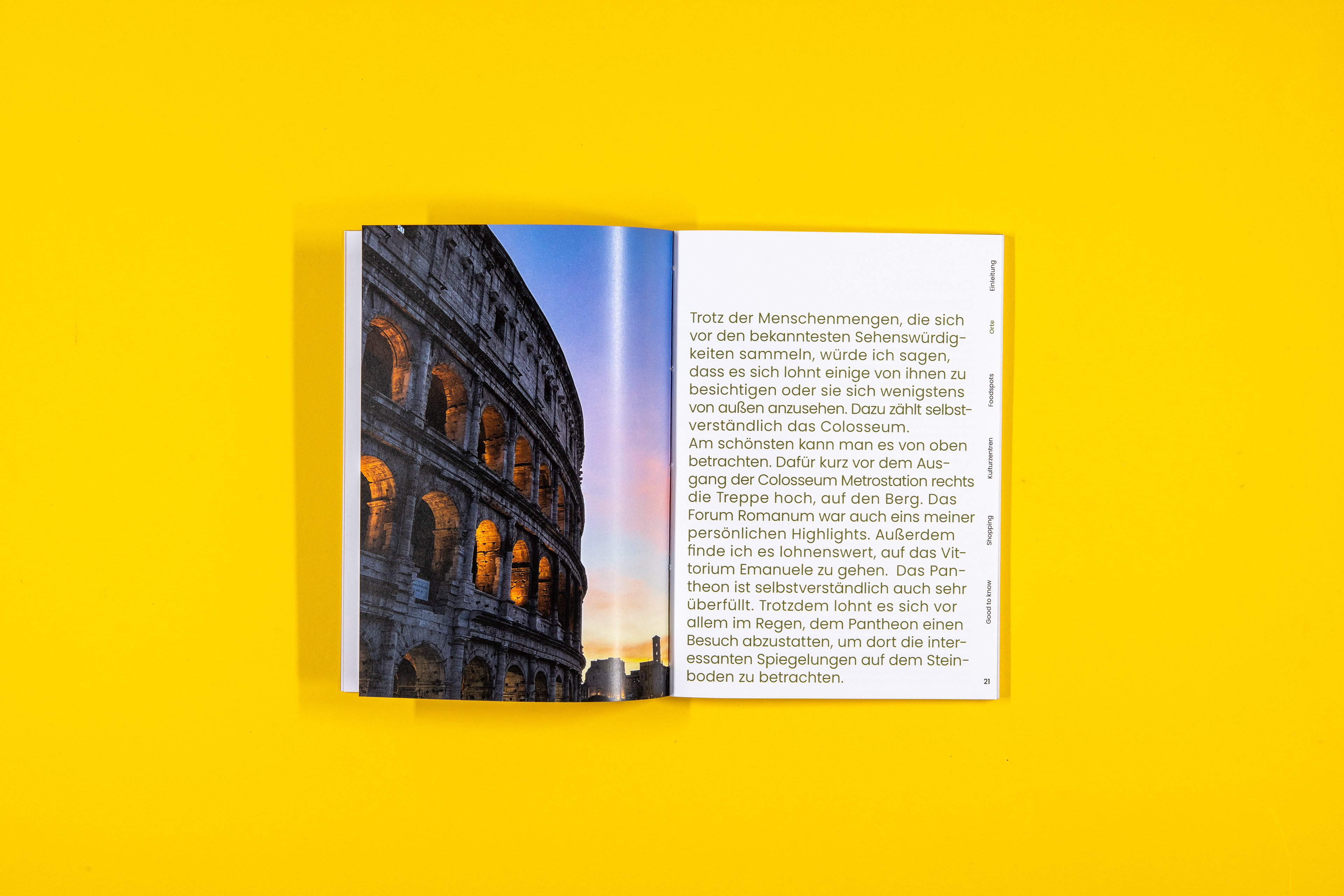 AMOR Layout