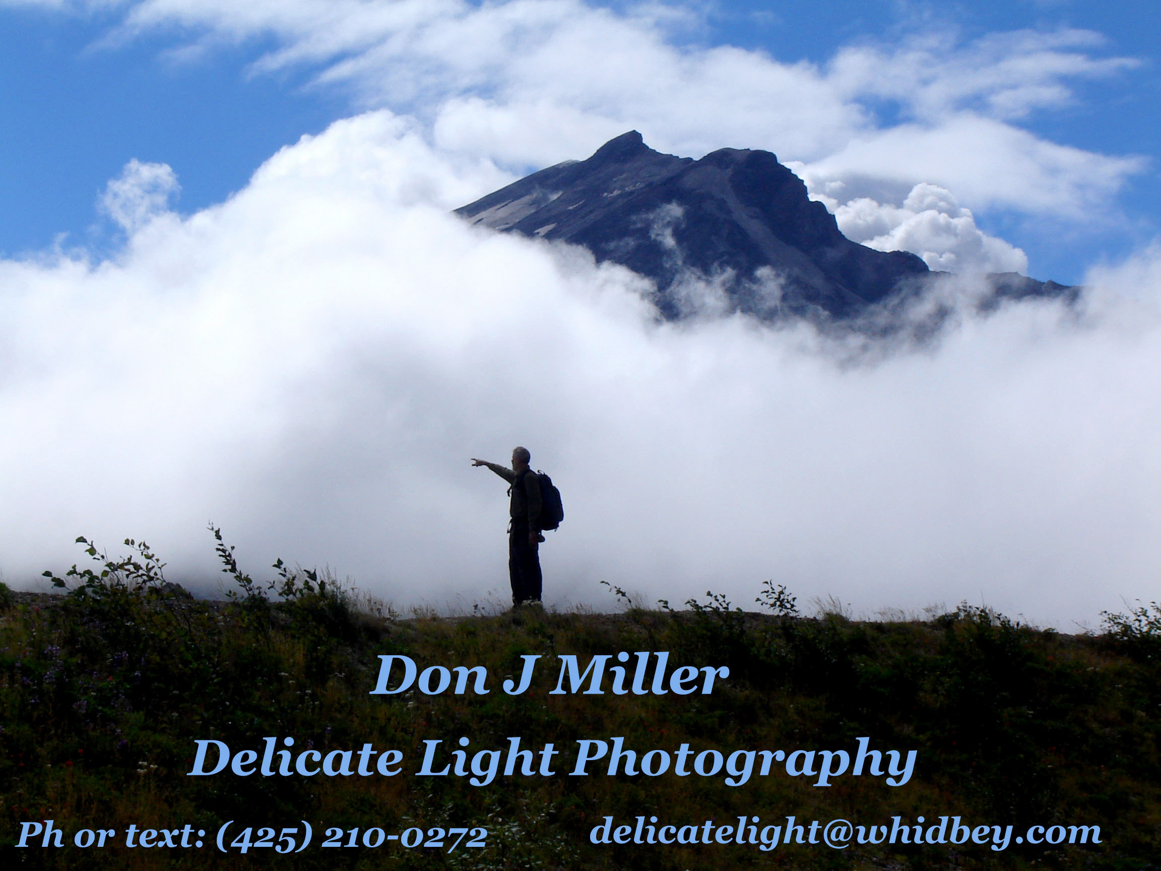 Donald J Miller
