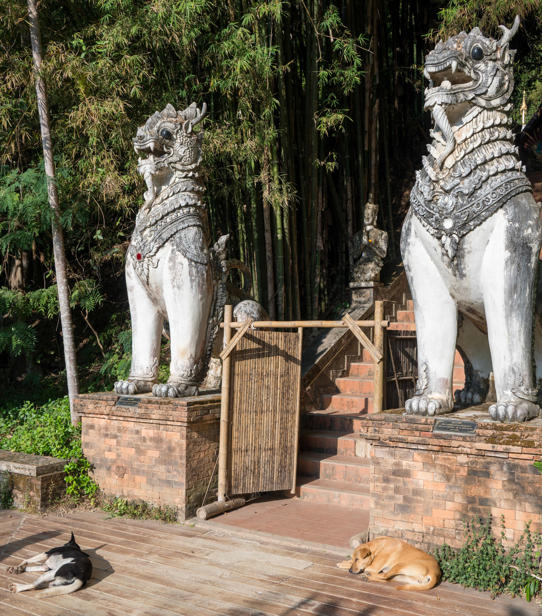 Animals guarding Wat Pha Lat (with two asleep on the job)