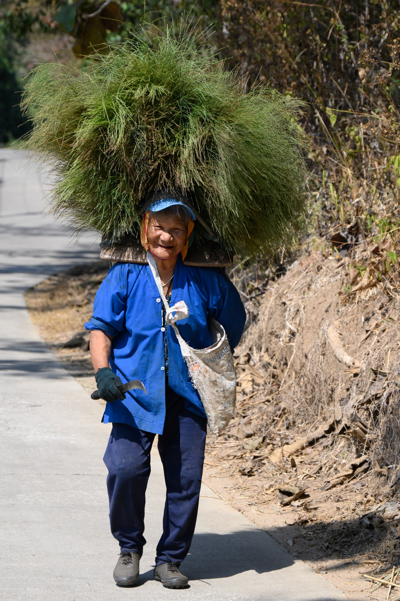 Hill farmer, Mae Yao, Chiang Rai