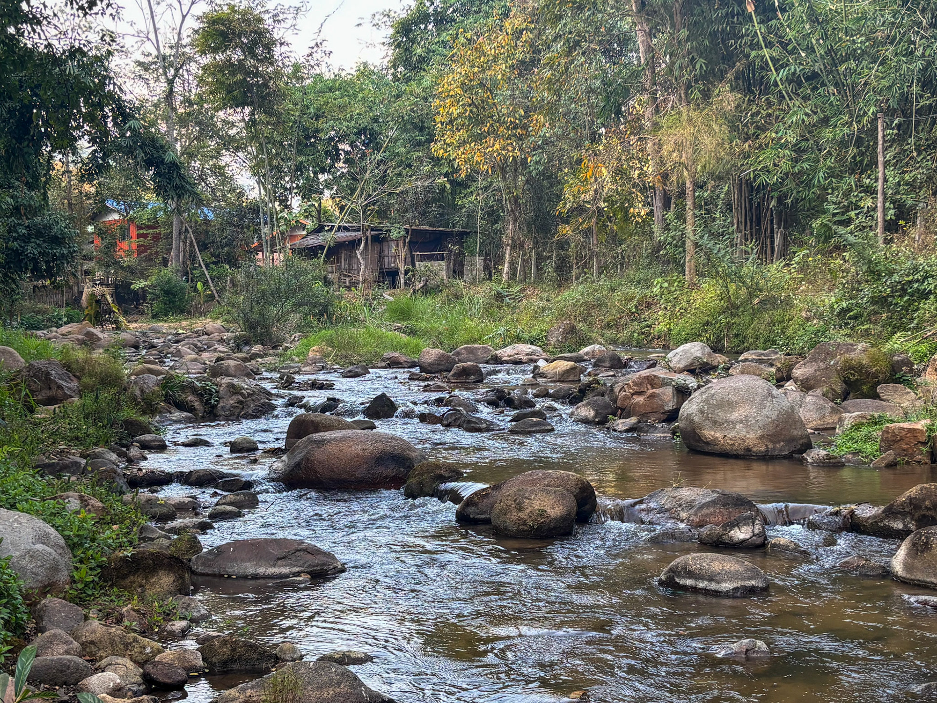 View from หุบเขาพันดาว 1000stars valley café