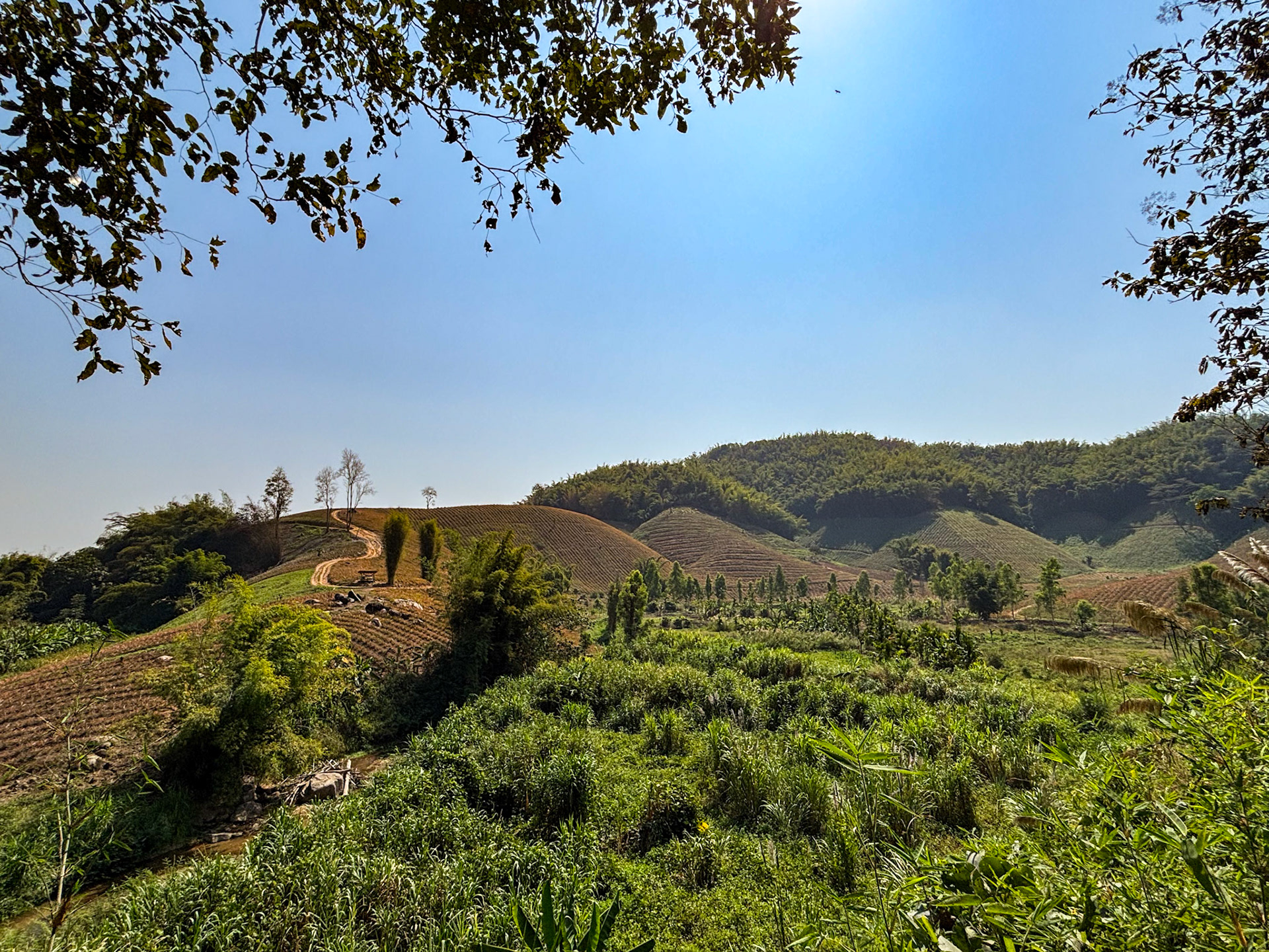 Hill farm, Mae Yao, Chiang Rai