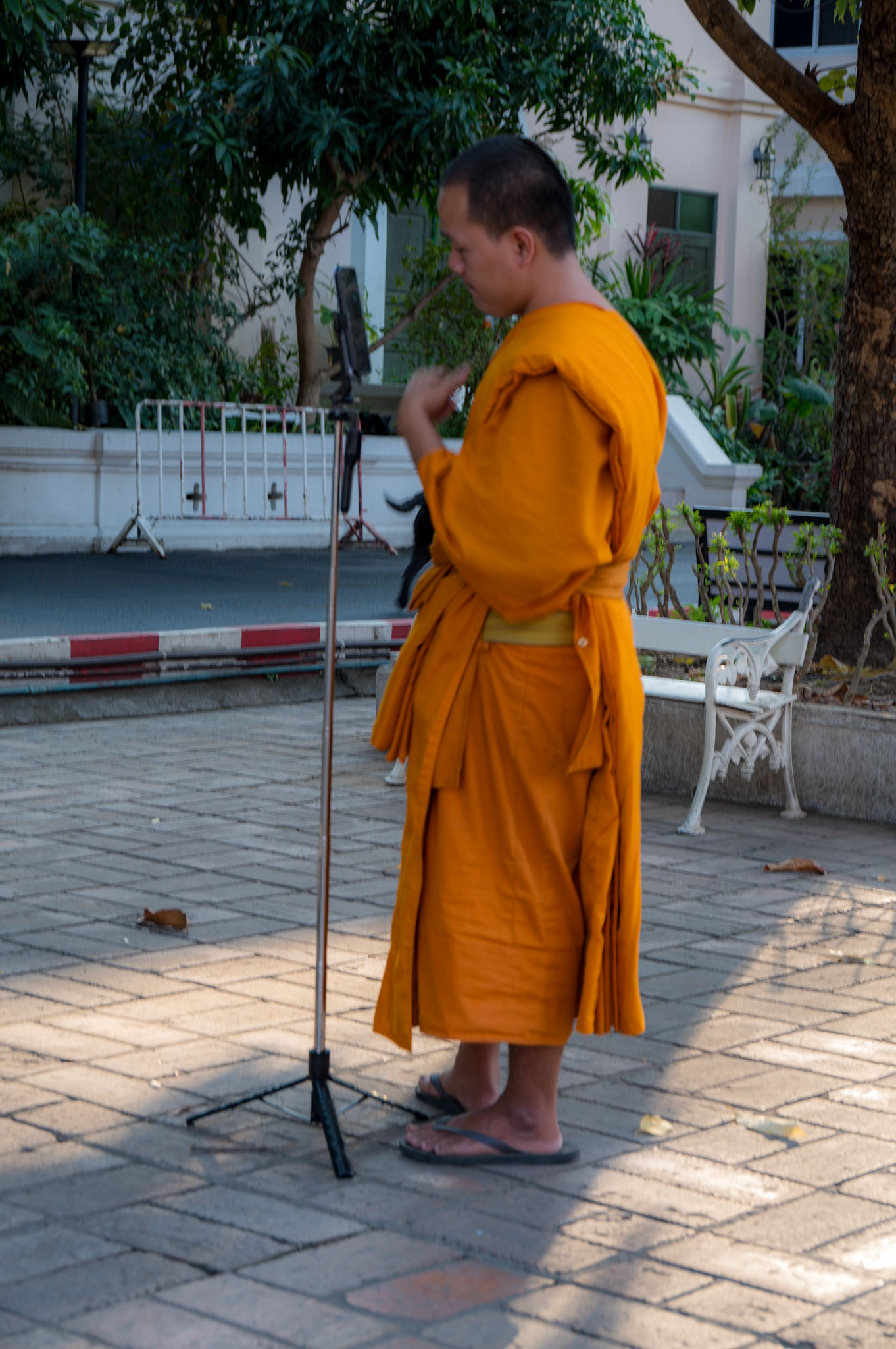 Monk selfie, Wat Chedi Luang