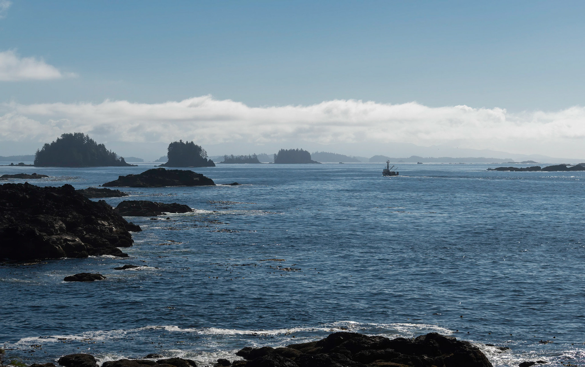 Pacific coast. Vancouver Island 17/09/18