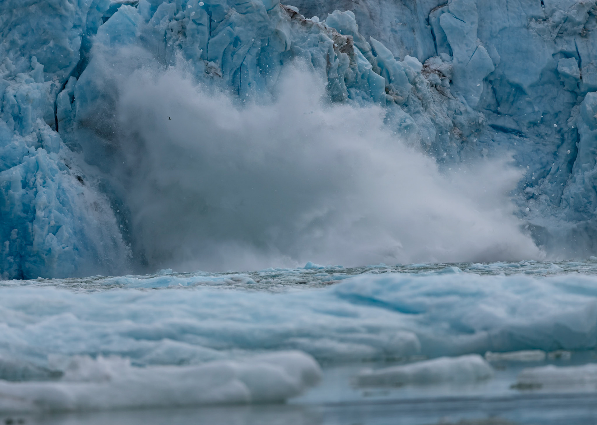 Calving at Kongsbreen Glacier, Svalbard. 02-08-2022.
